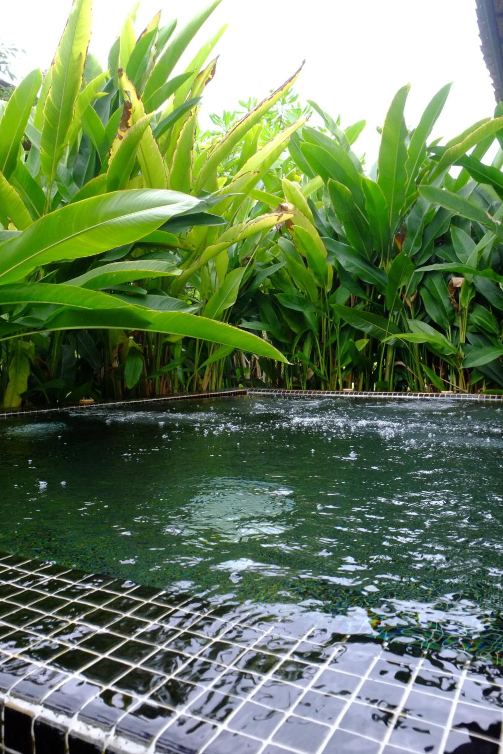 Awana Villa Resort Yaonoi - SHA Extra Plus