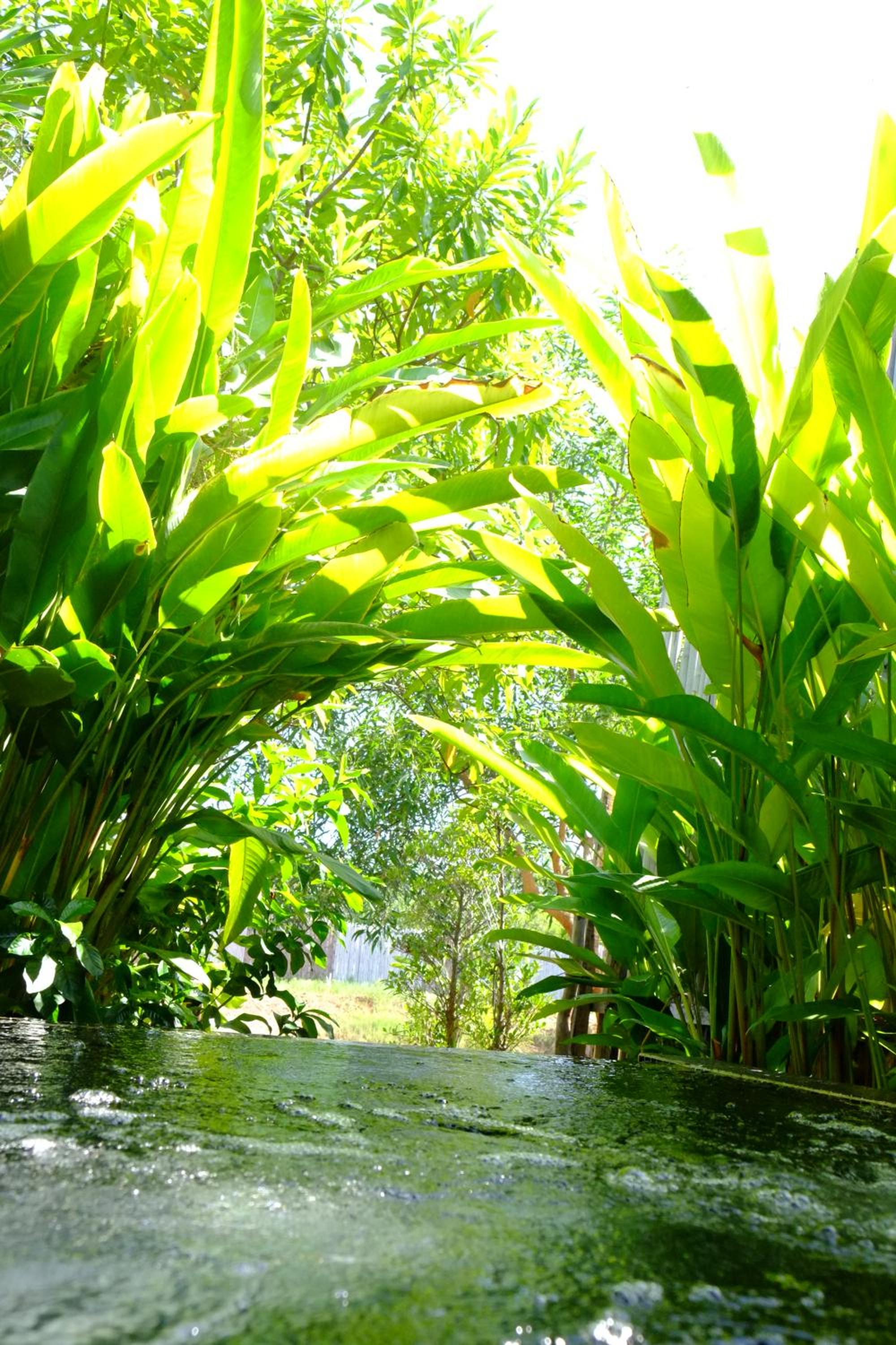 Awana Villa Resort Yaonoi - SHA Extra Plus