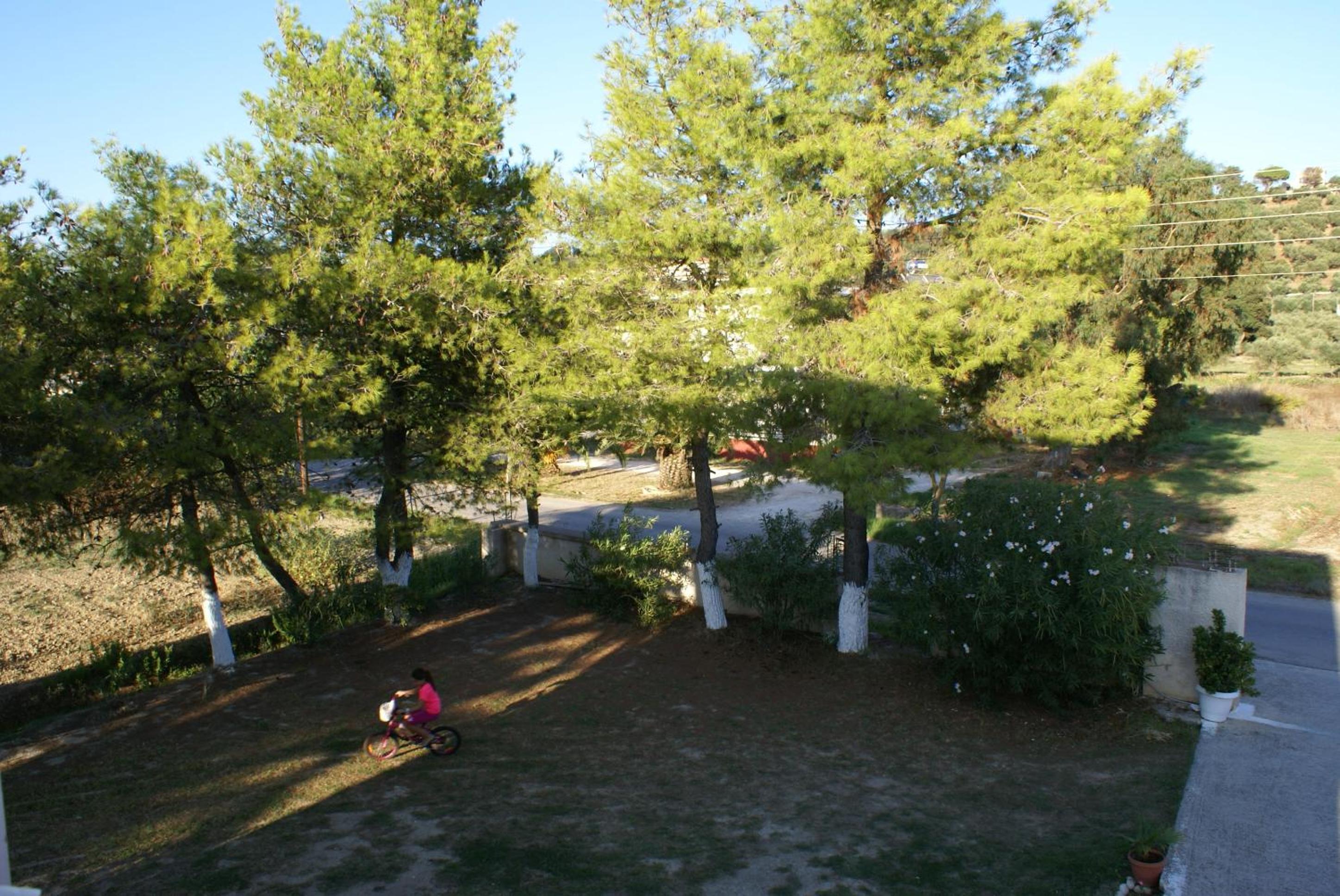 Tota Studios