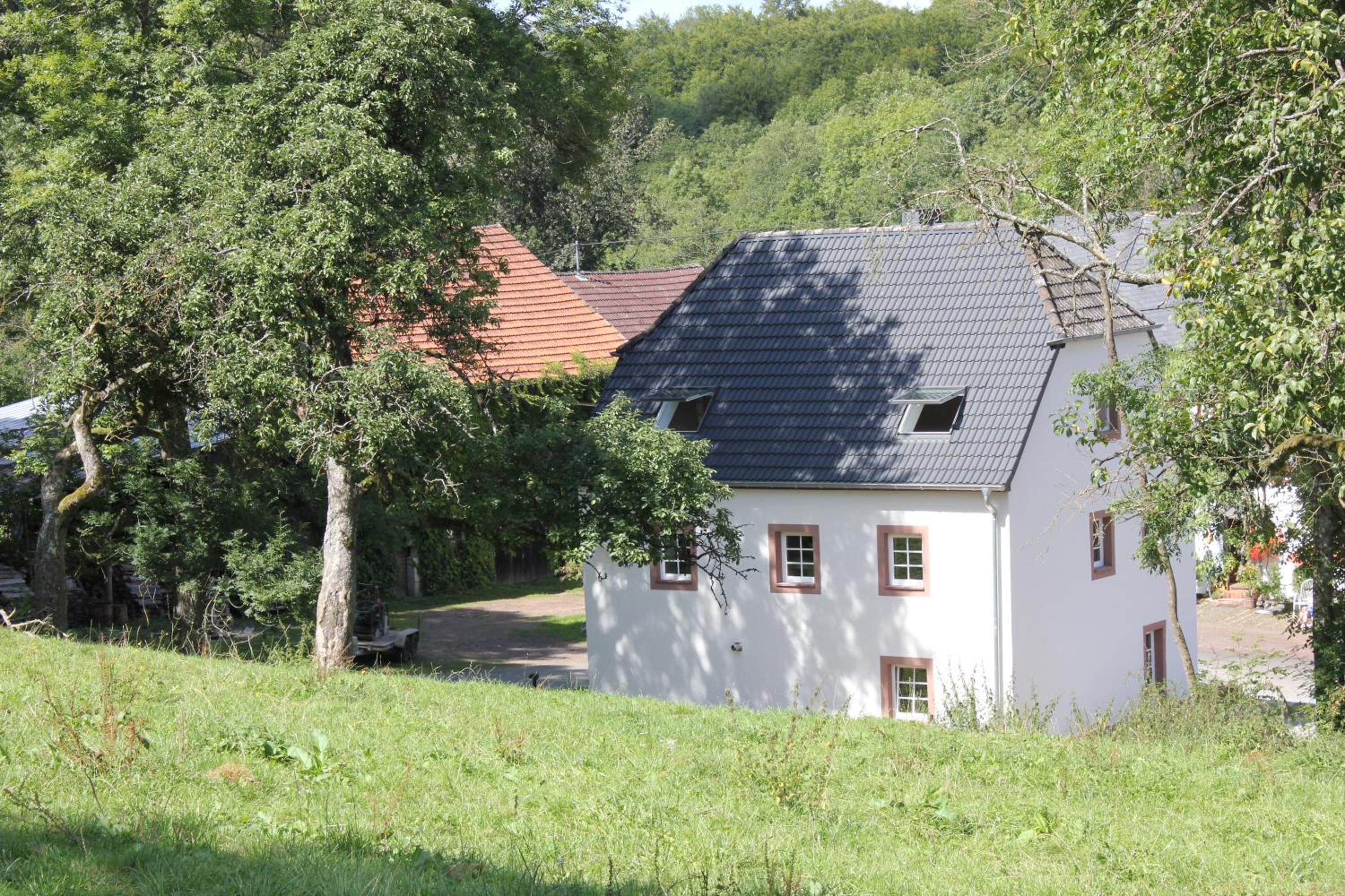 Ferienhaus Sprink Vulkaneifel view 5