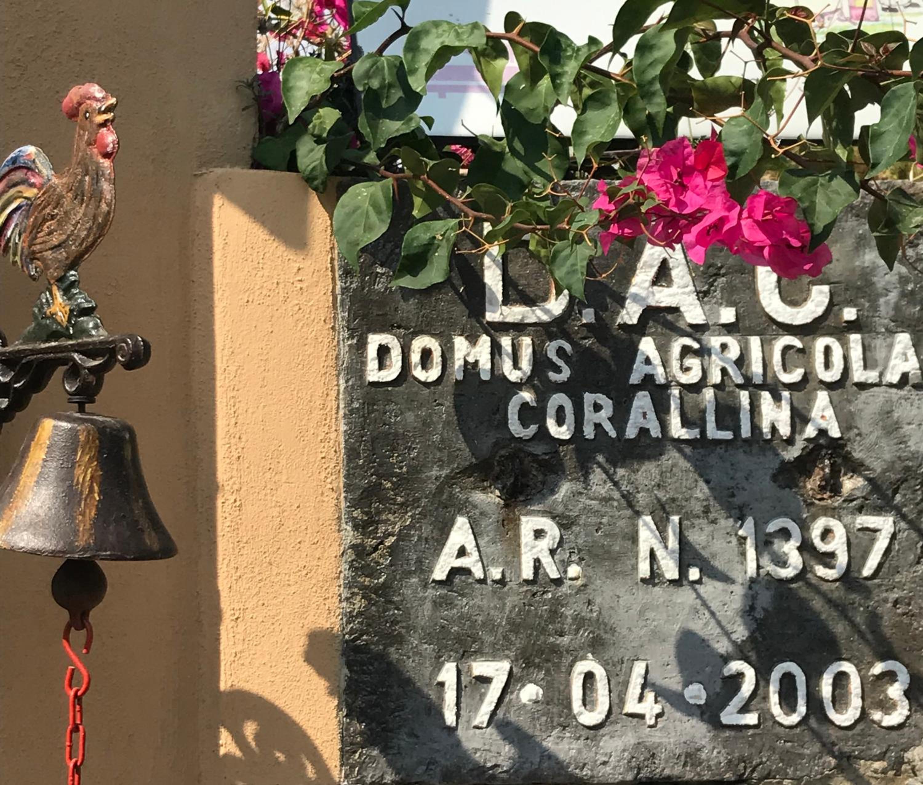 Domus Agricolae Corallina view 2