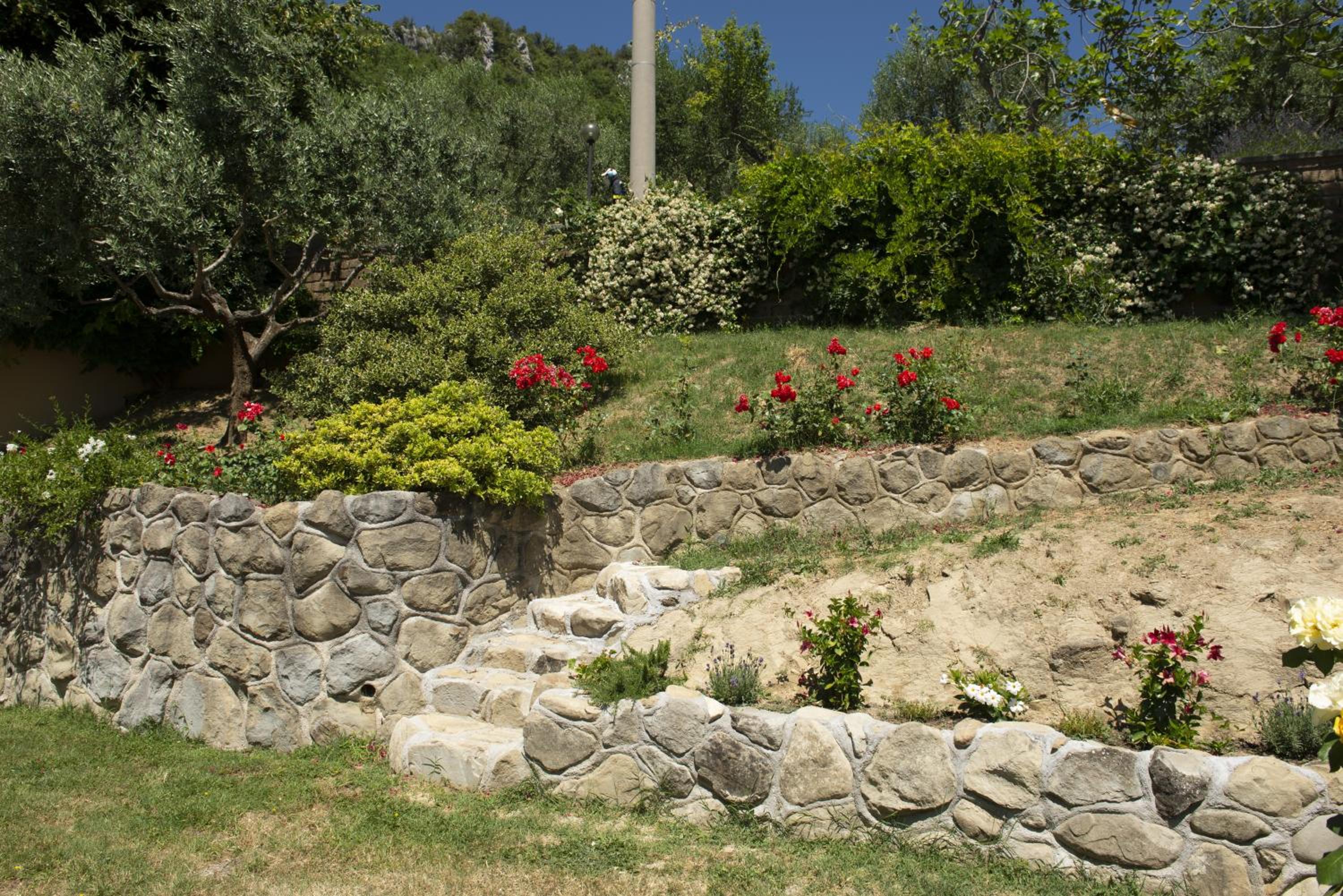 Photo 42