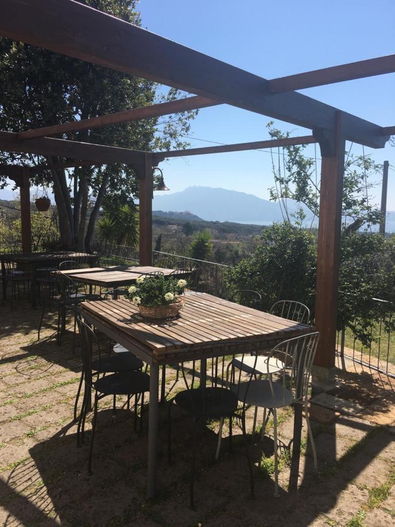 Domus Agricolae Corallina view 5