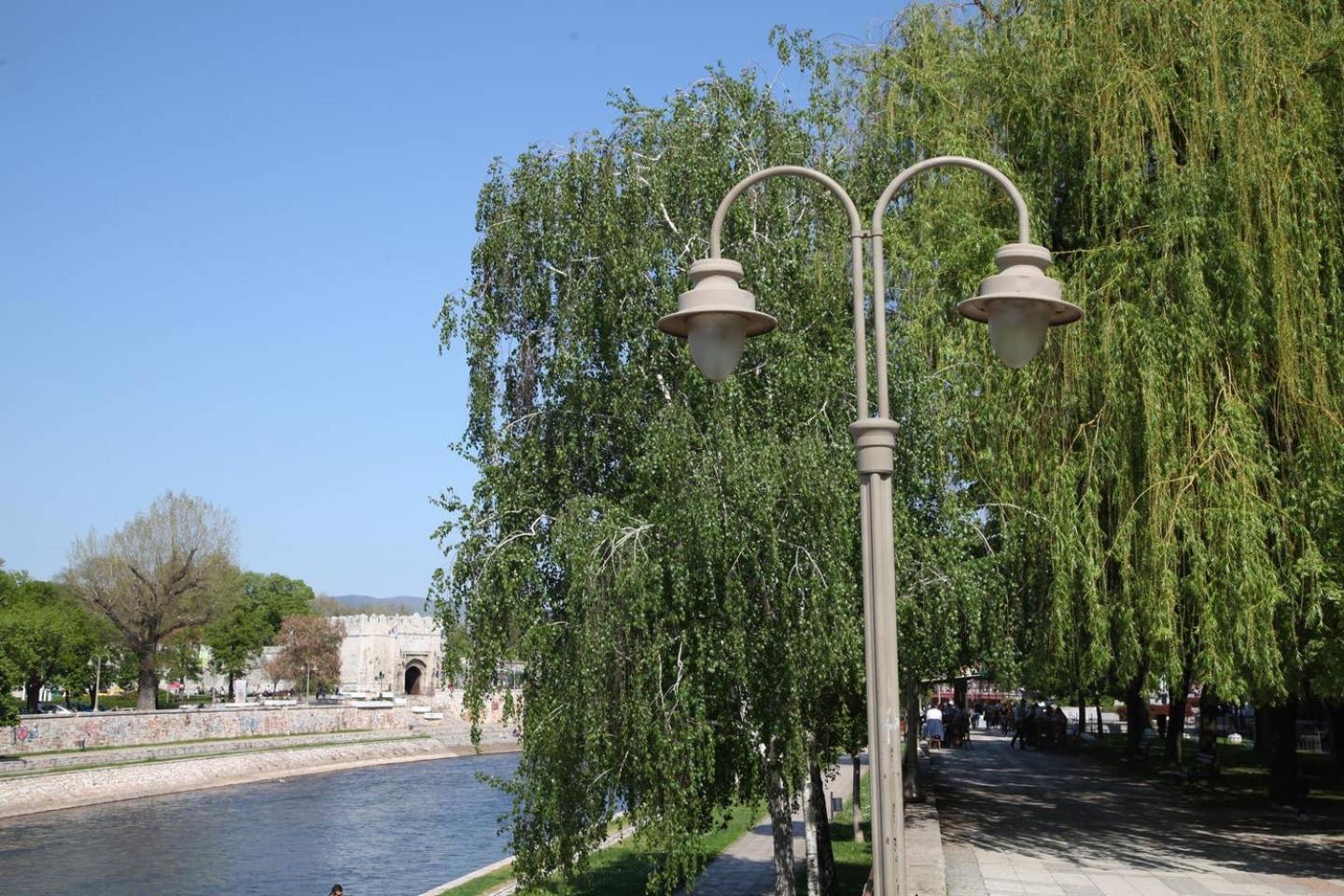 Photo 44