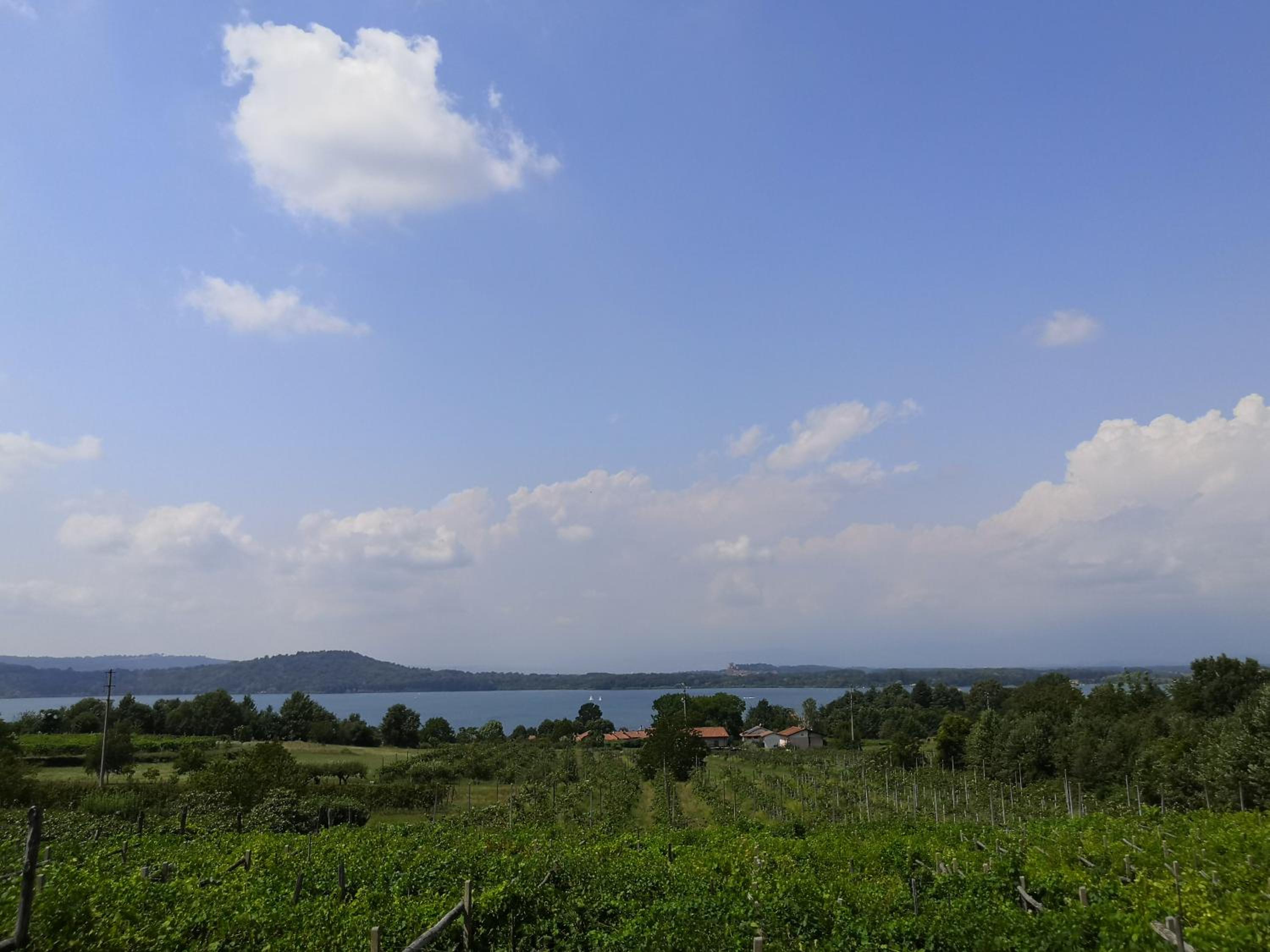 Photo 43