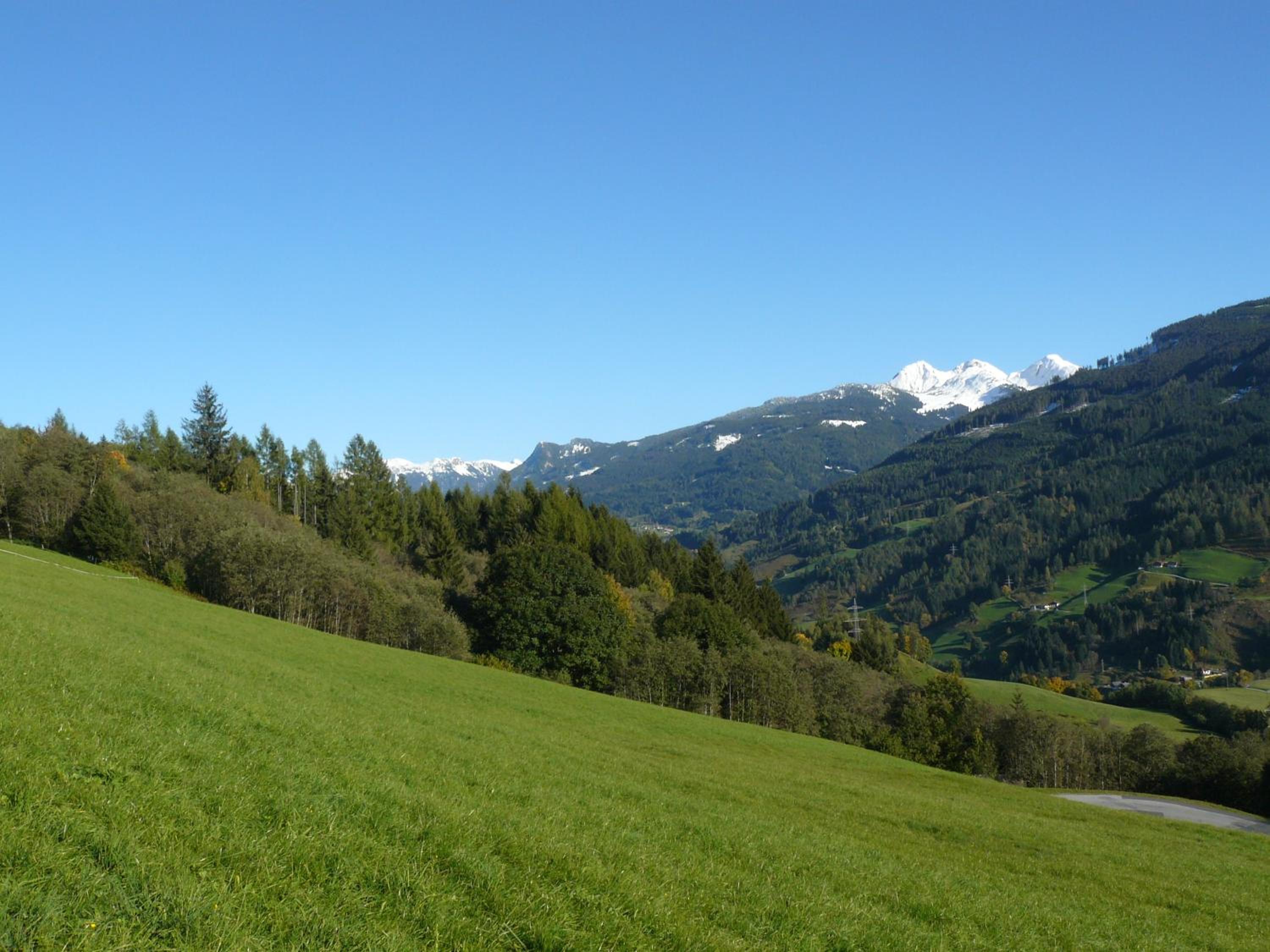 Bauernhof Bachrain