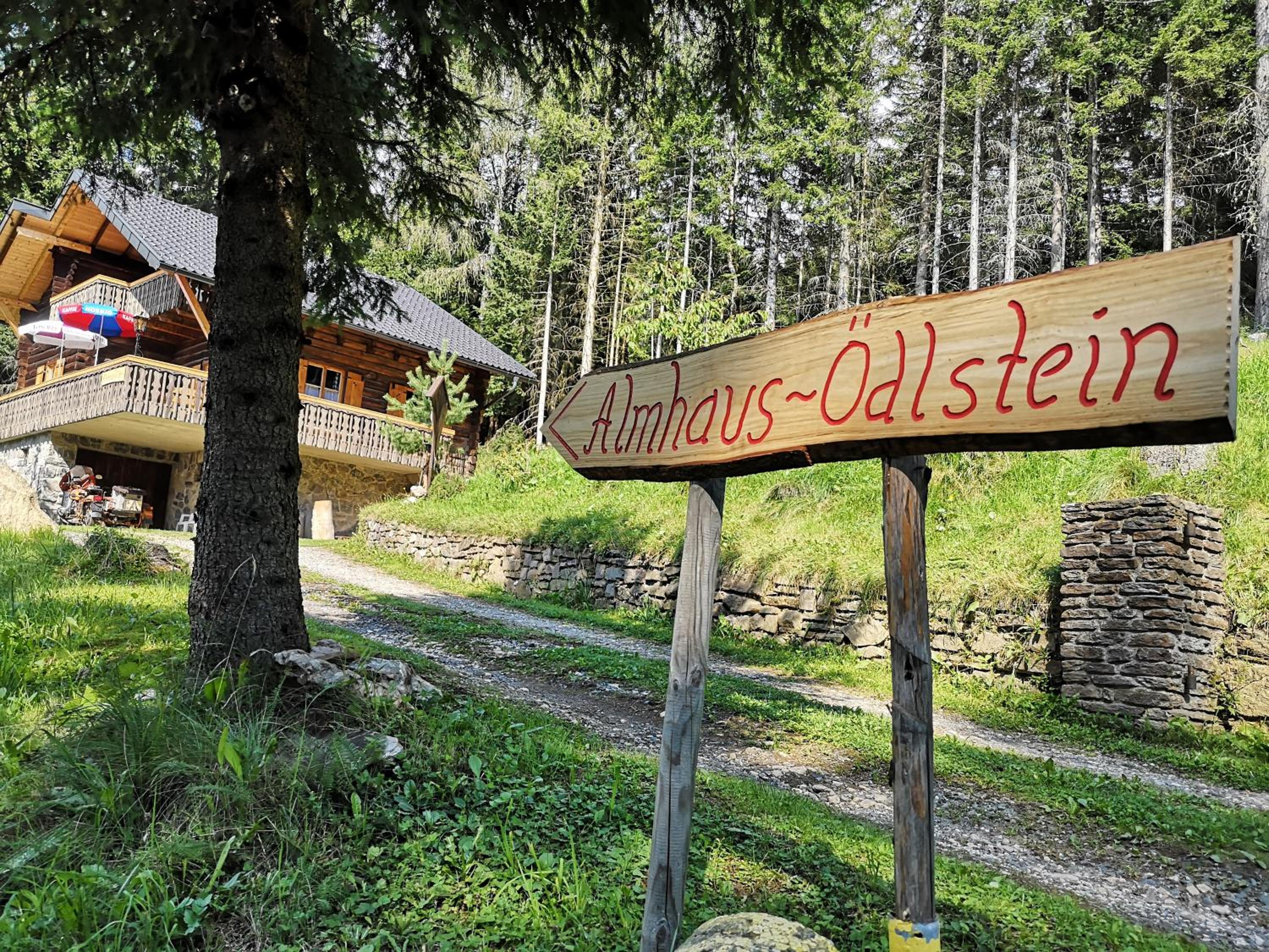 Almhaus Ödlstein view 2