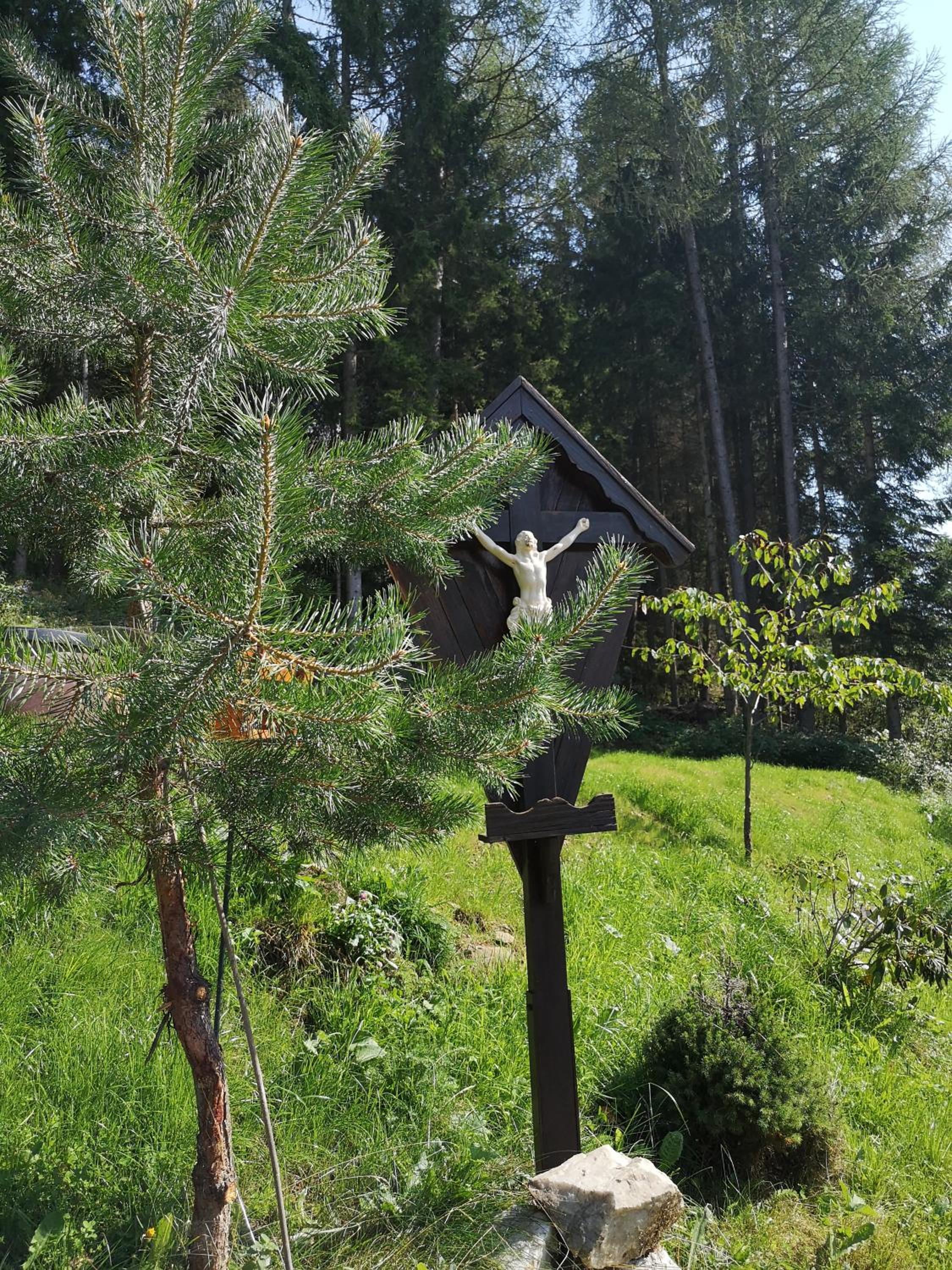Almhaus Ödlstein view 3