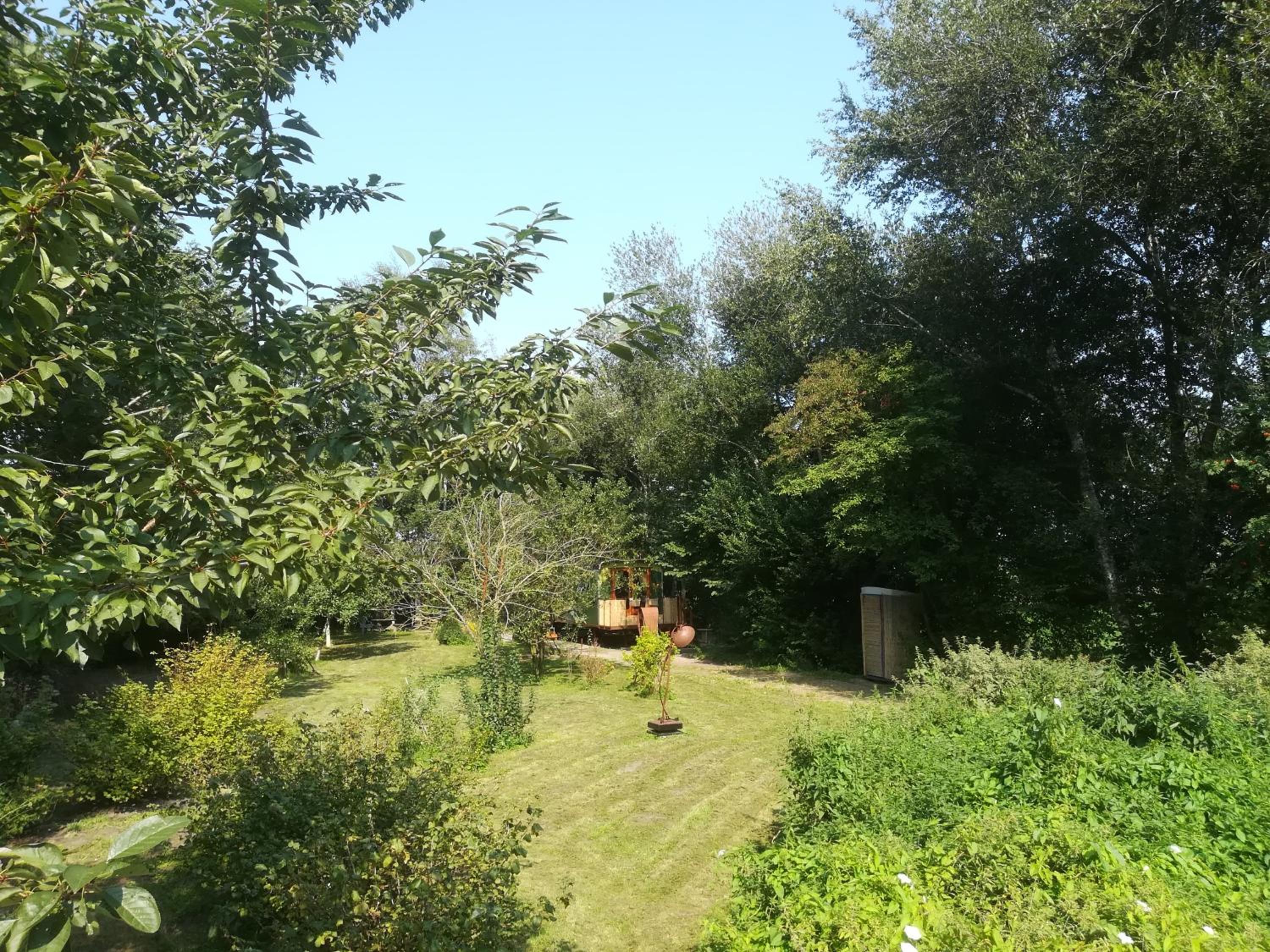 Photo 35