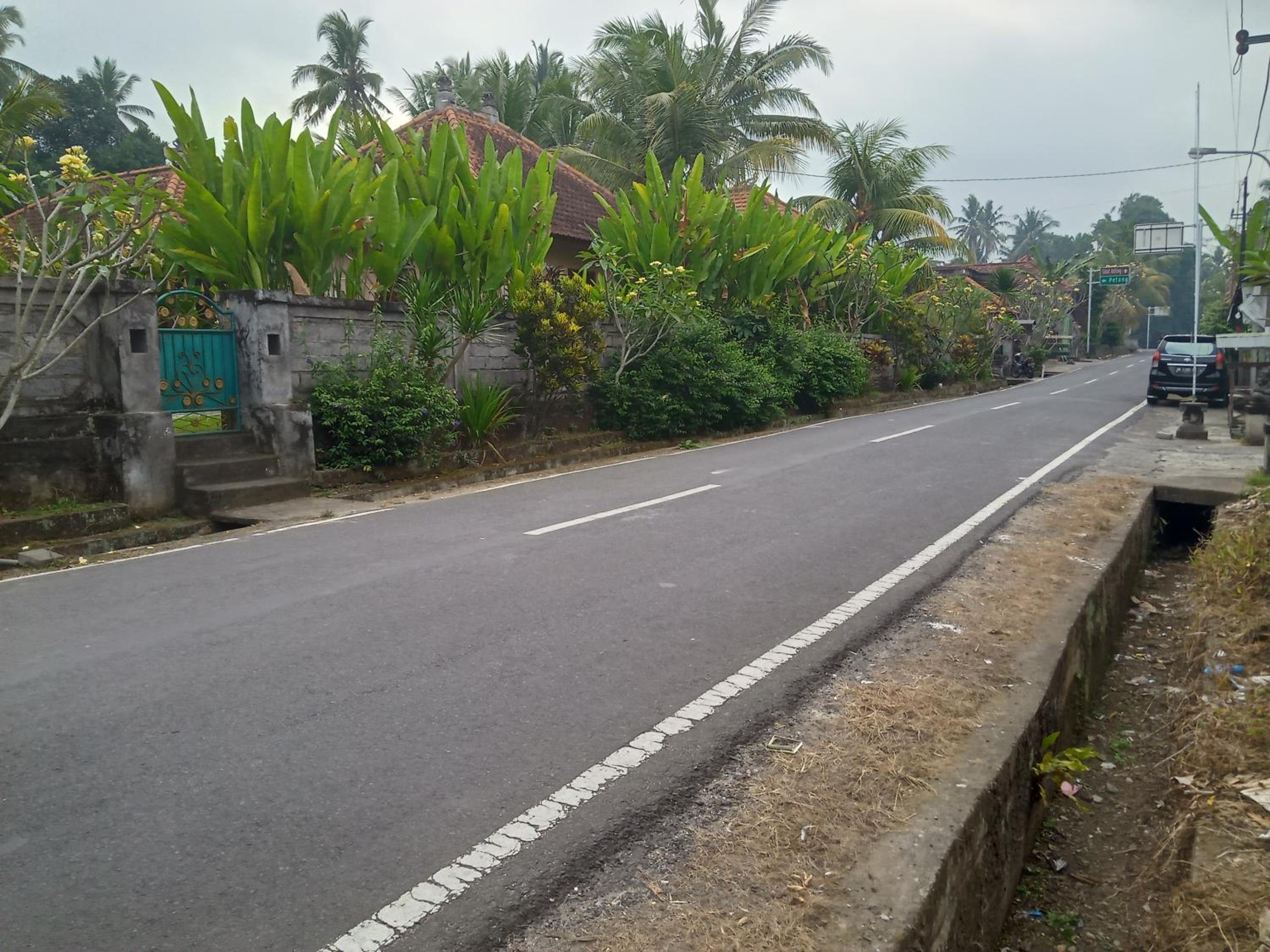 Photo 200