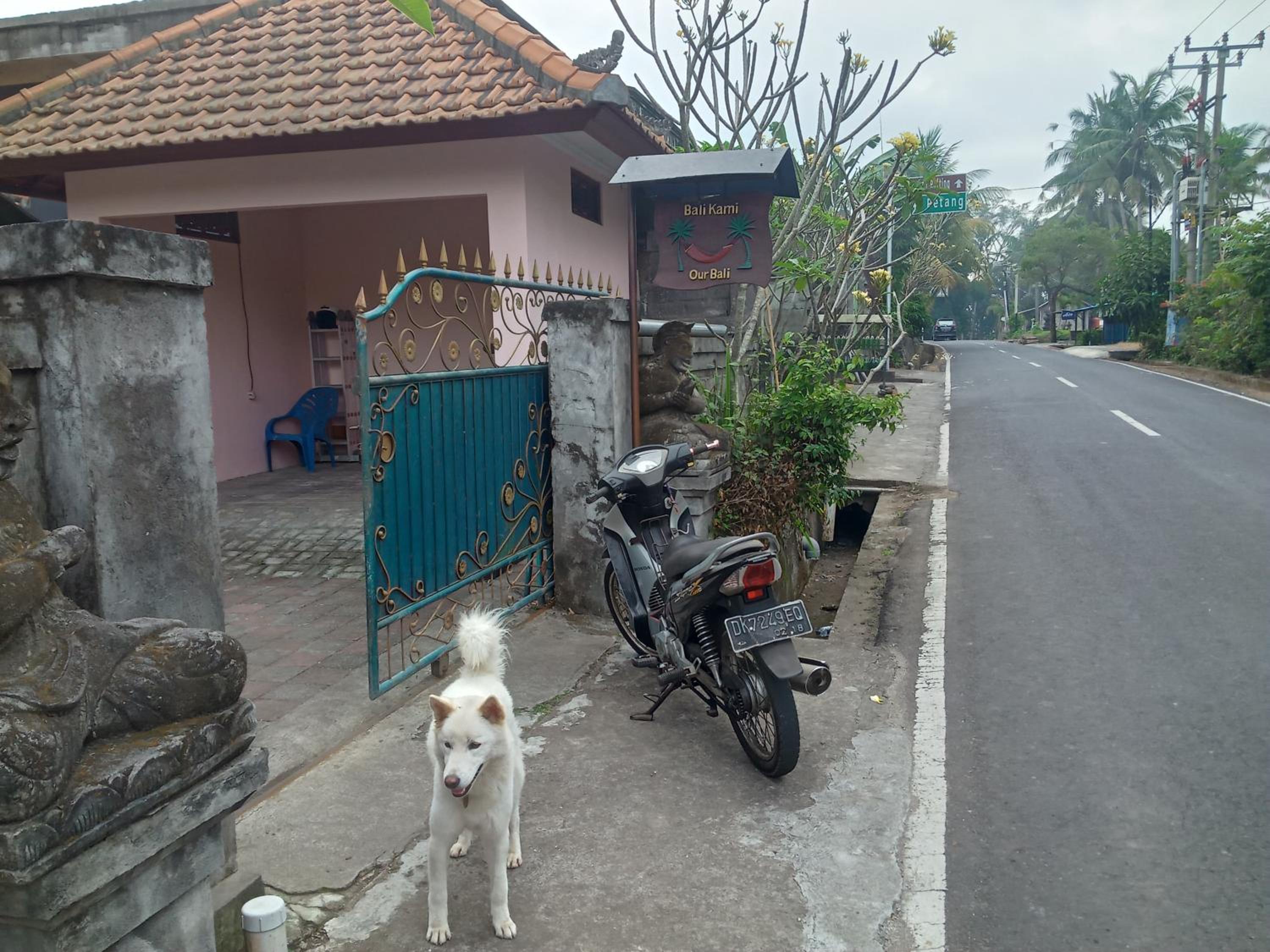 Photo 201