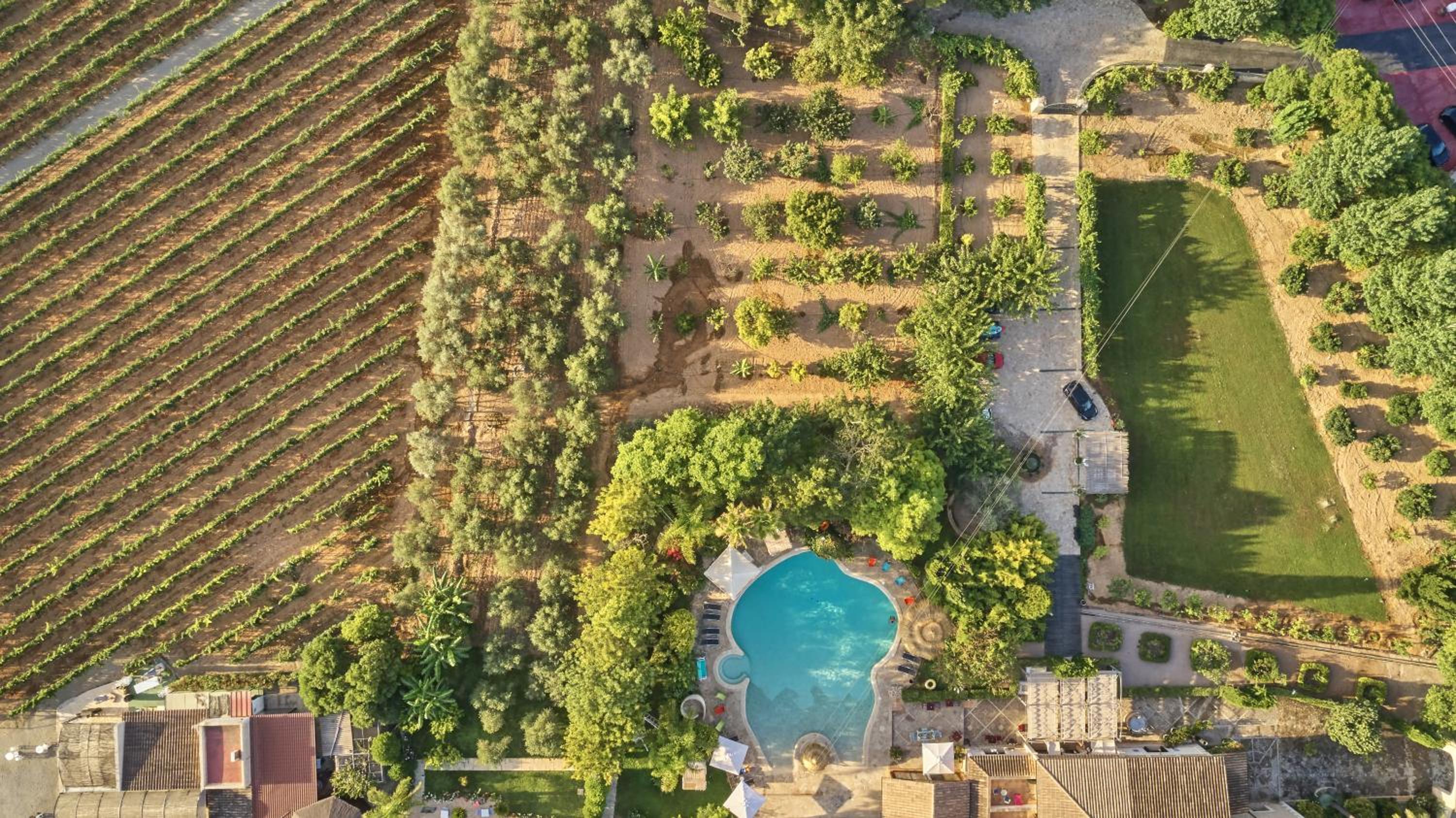 Agroturismo Sa Vinya des Convent