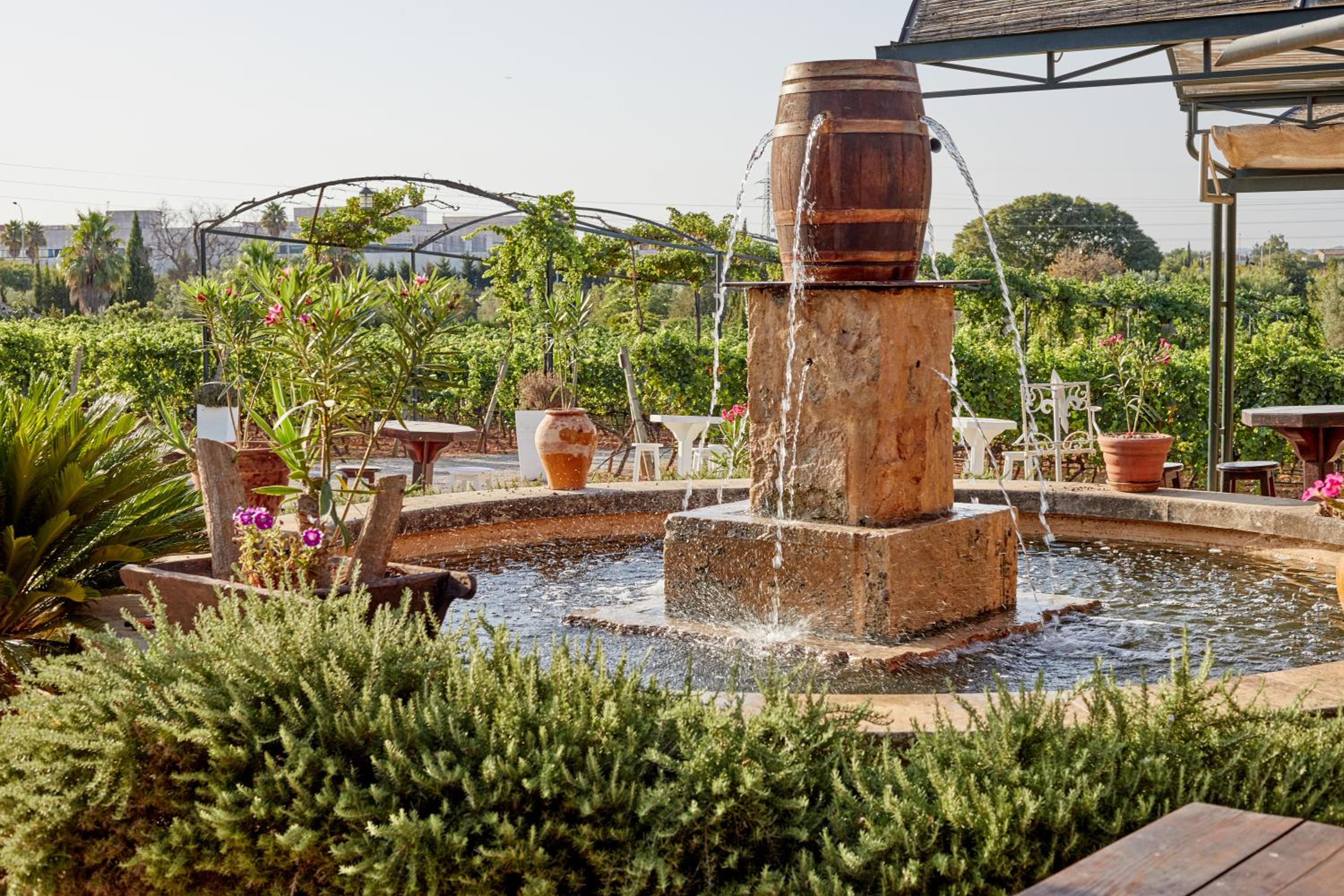 Agroturismo Sa Vinya des Convent