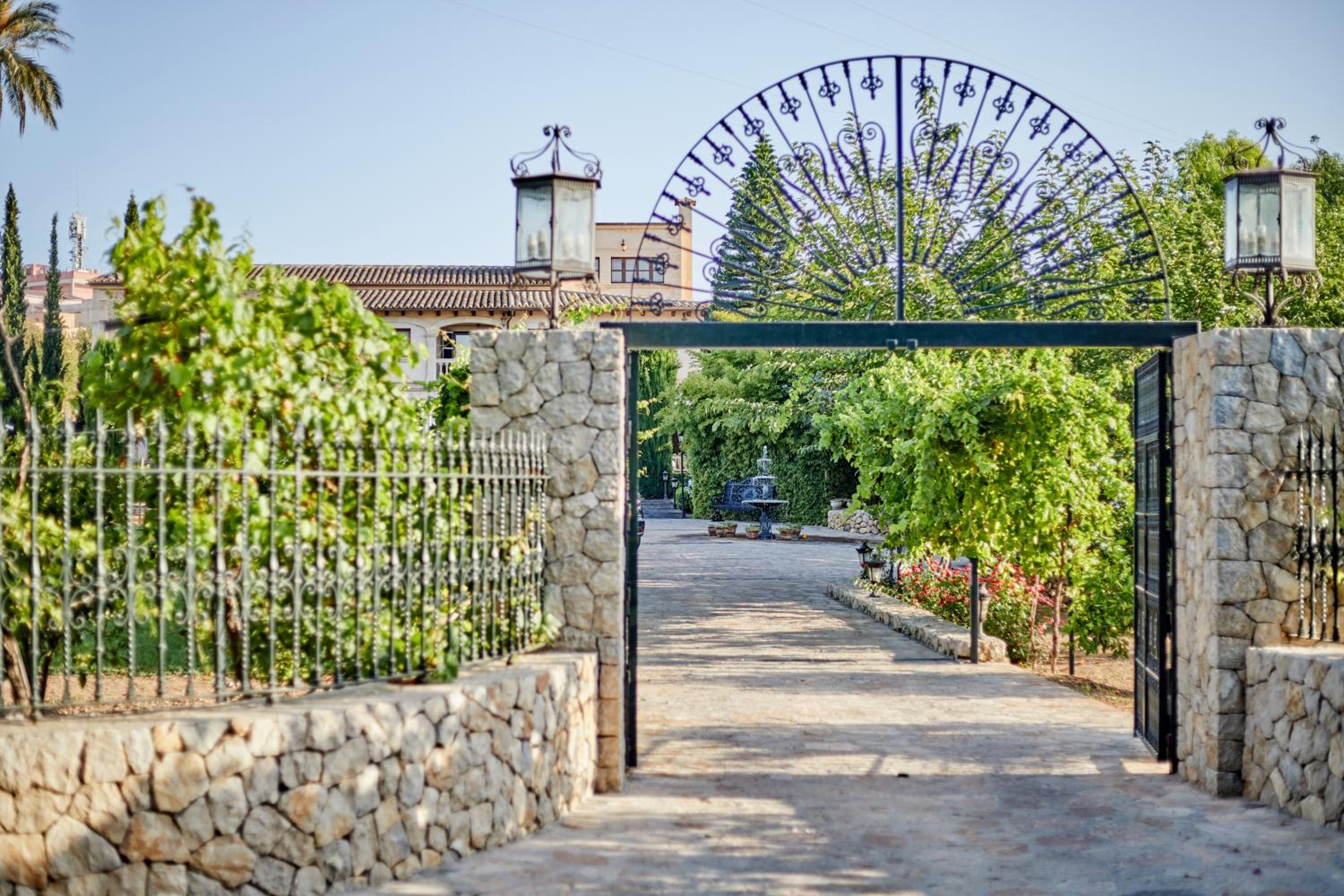 Agroturismo Sa Vinya des Convent