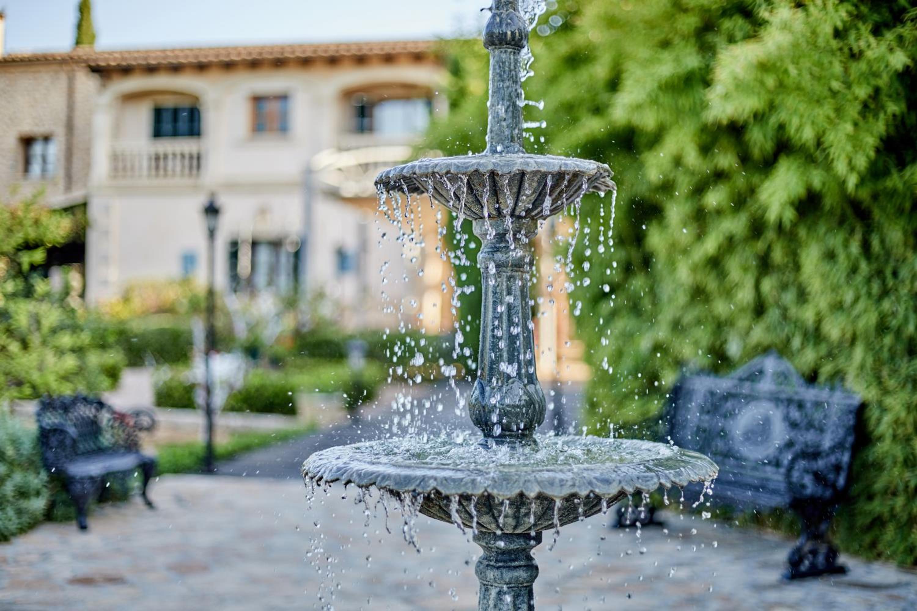 Agroturismo Sa Vinya des Convent