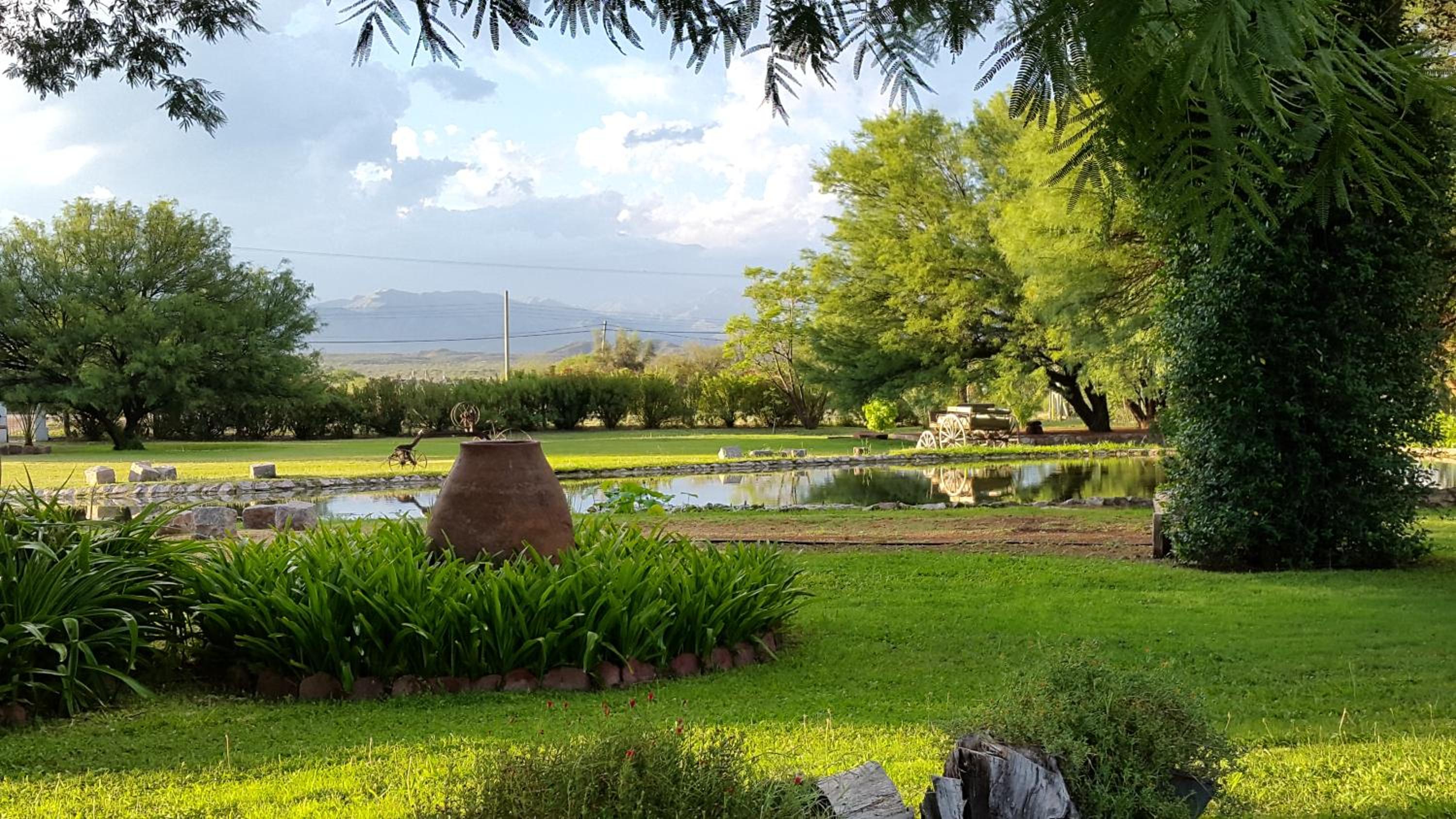 Estancia del Olivo