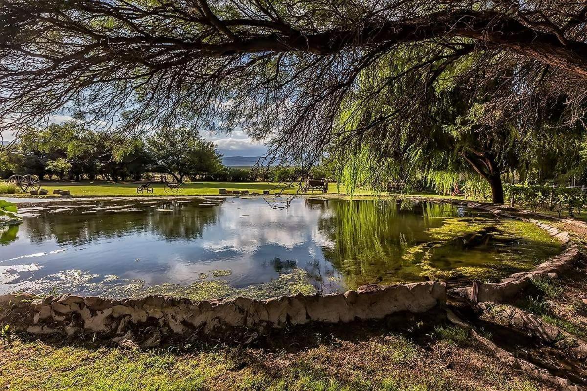 Estancia del Olivo
