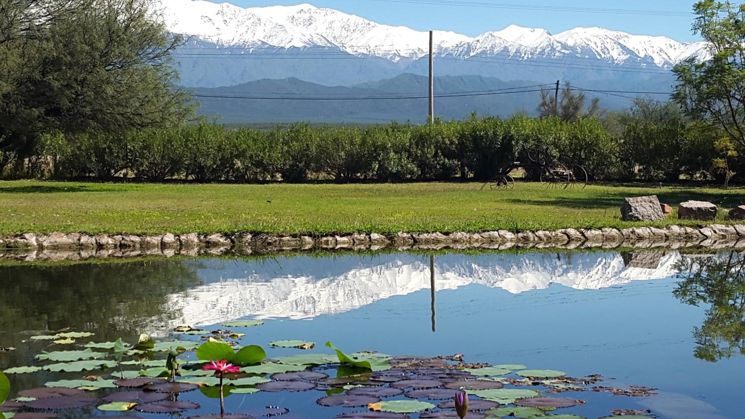 Estancia del Olivo