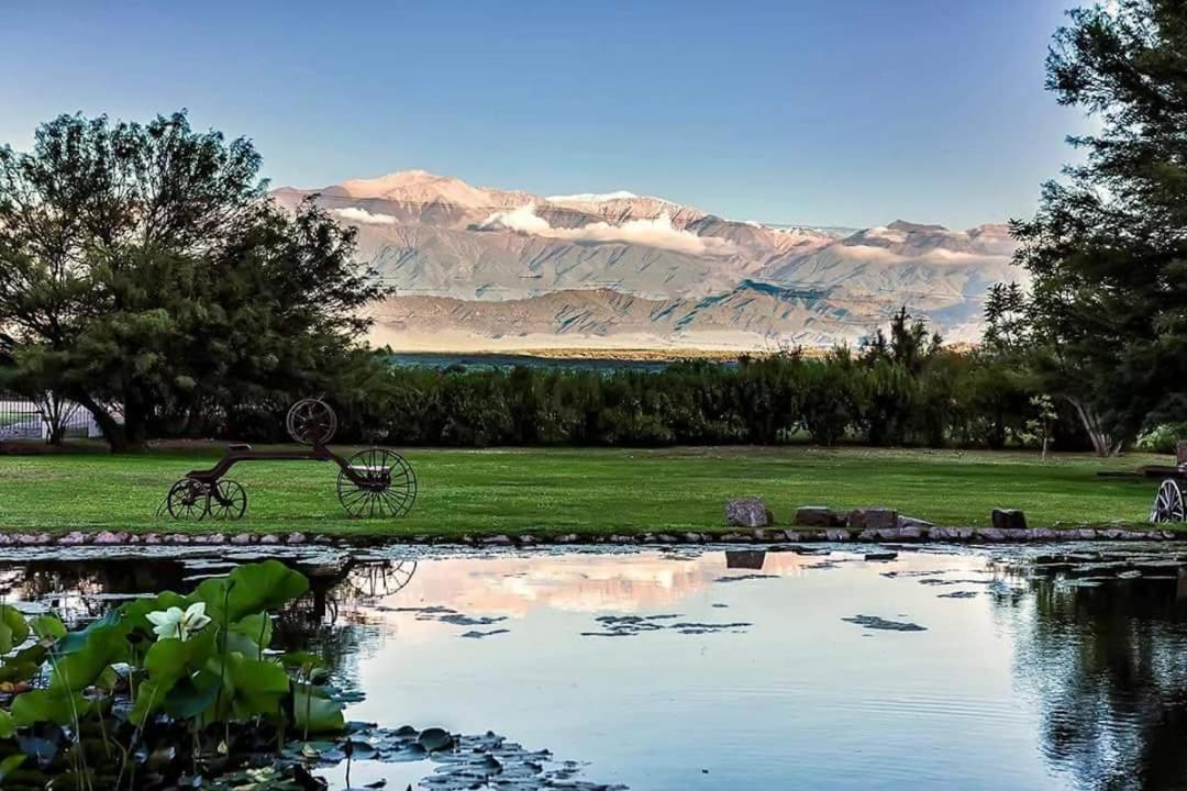 Estancia del Olivo