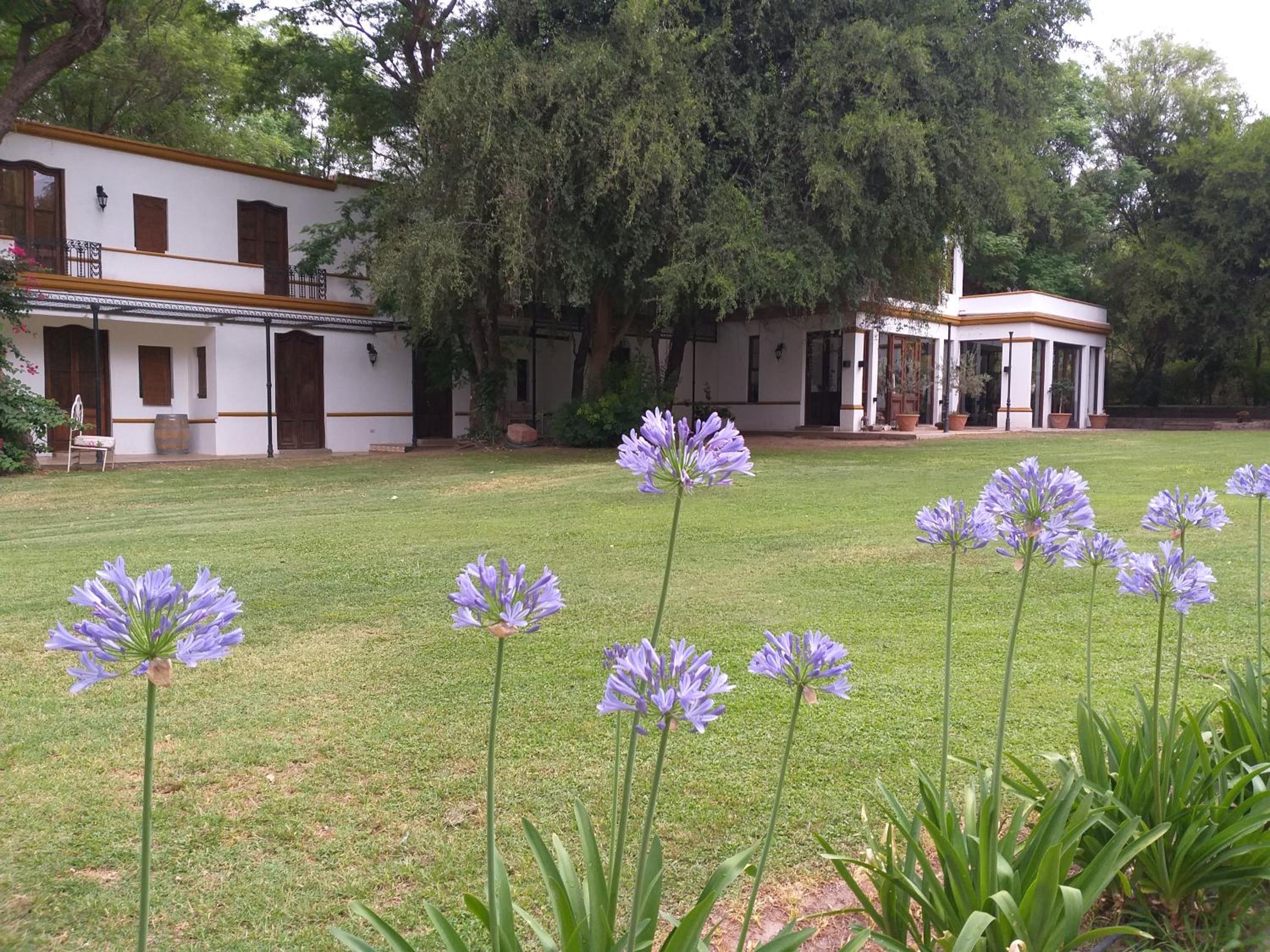 Estancia del Olivo