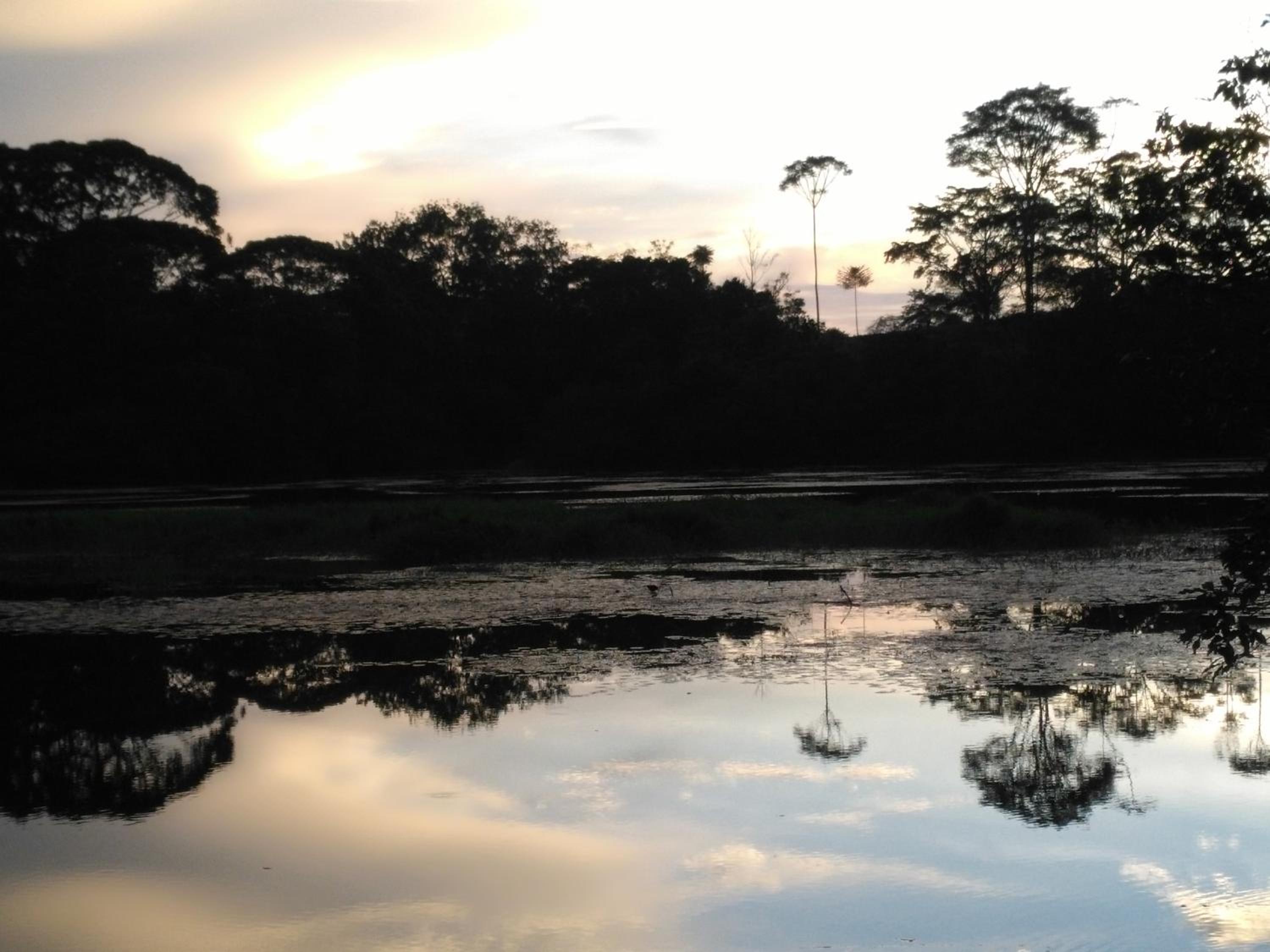 Iguanitas Lodge