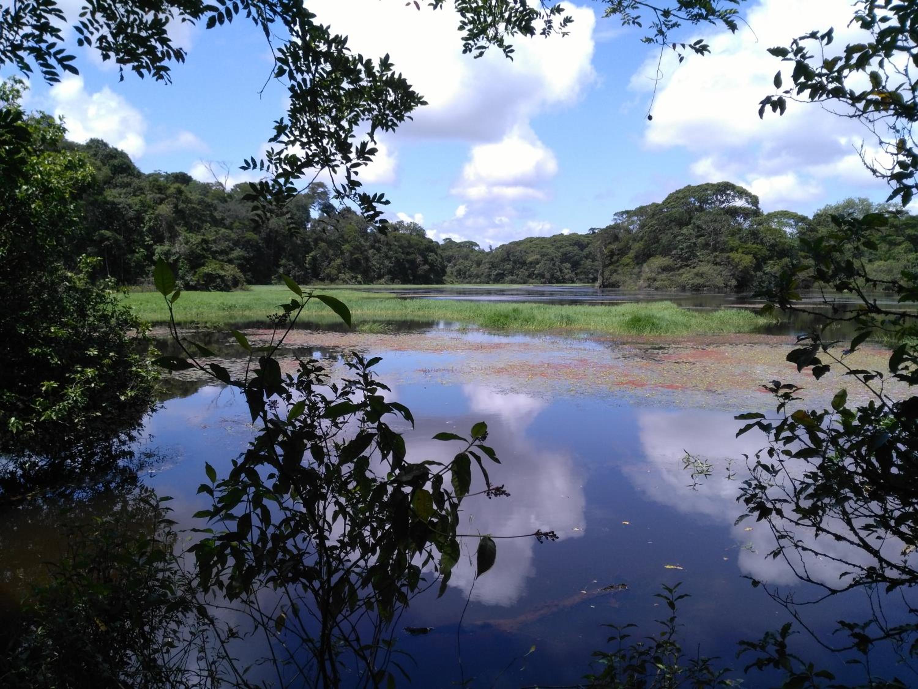 Iguanitas Lodge