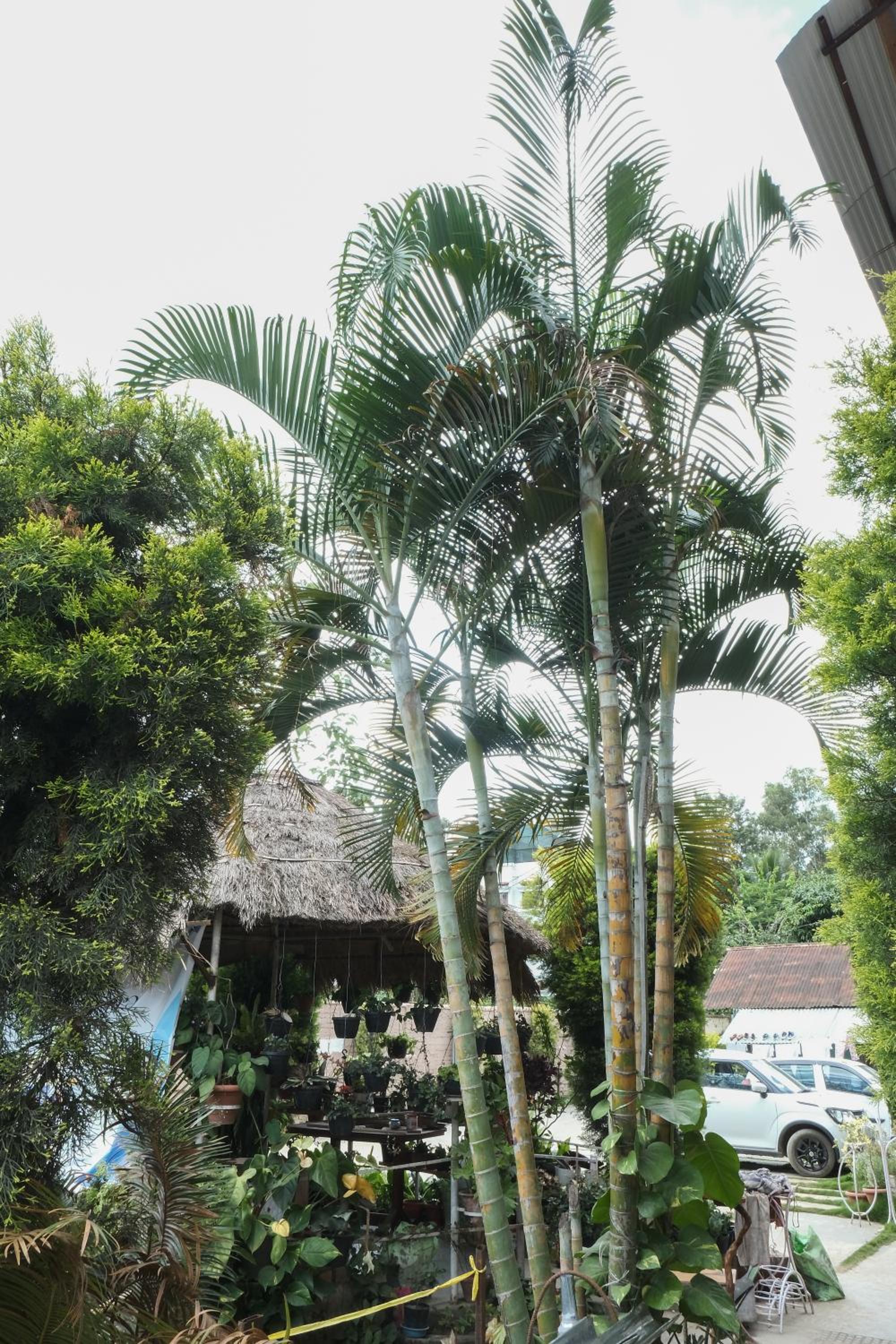 Photo 23