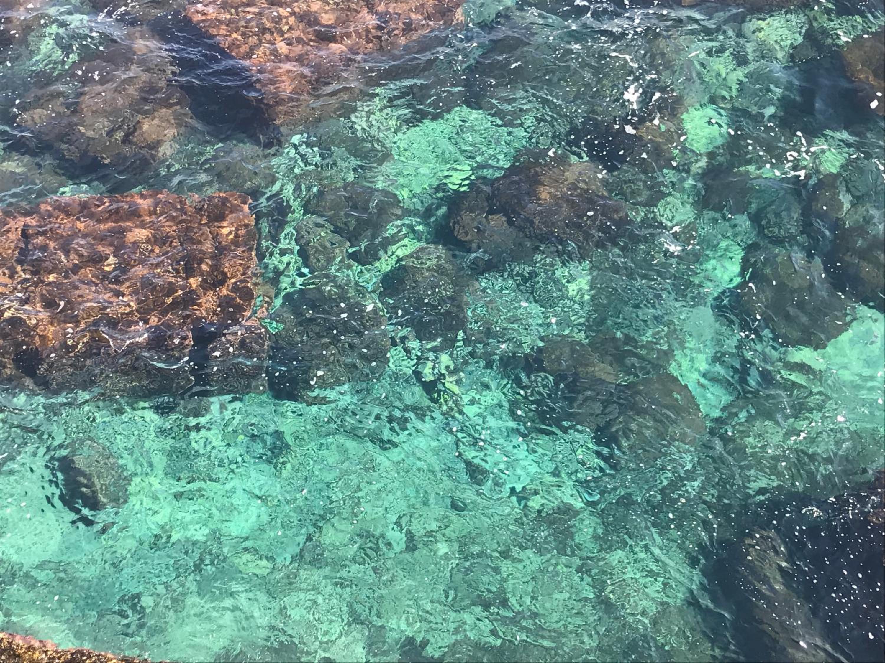 Sicily Mon Amour Ortigia view 2
