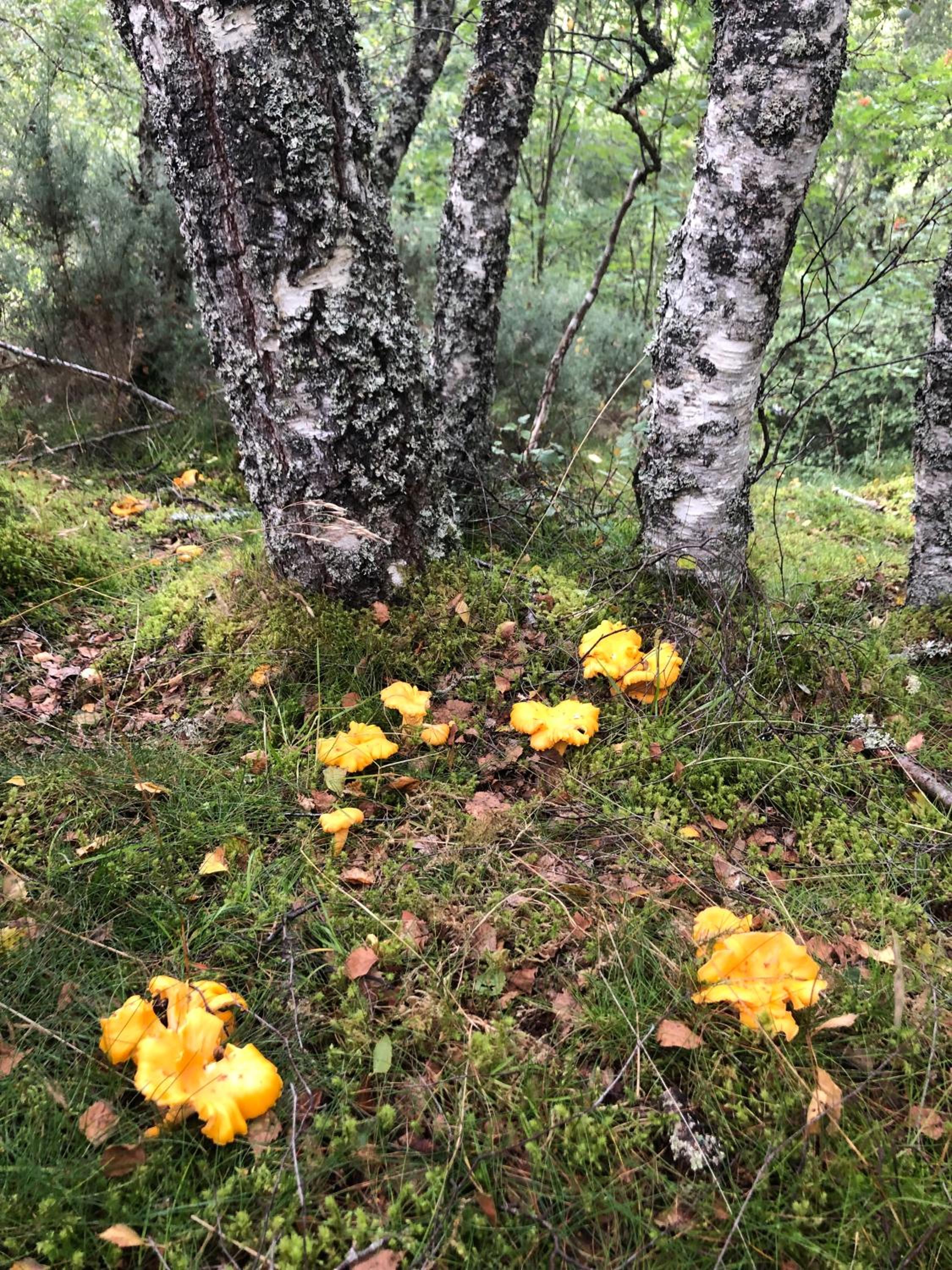Photo 20