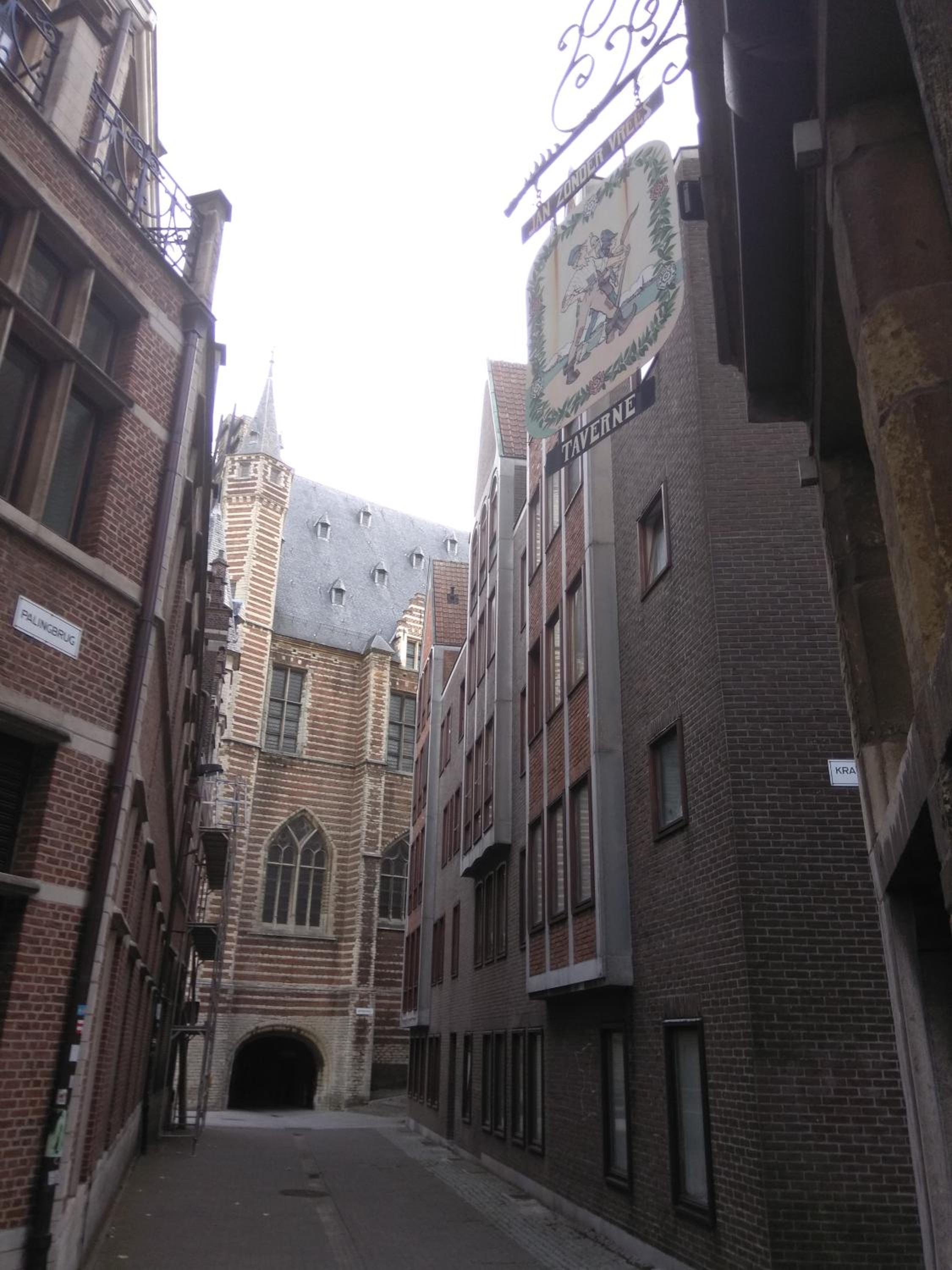 Photo 15