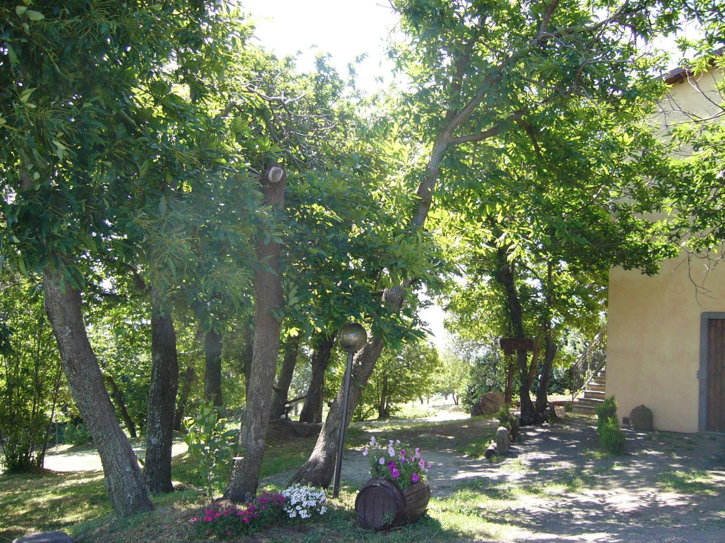 Agriturismo Francadu view 2
