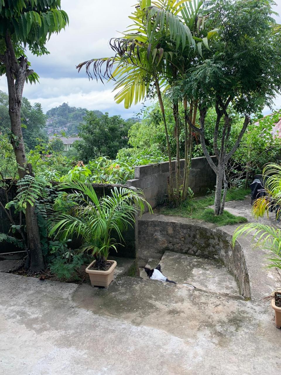 Jaga's Hill homestay