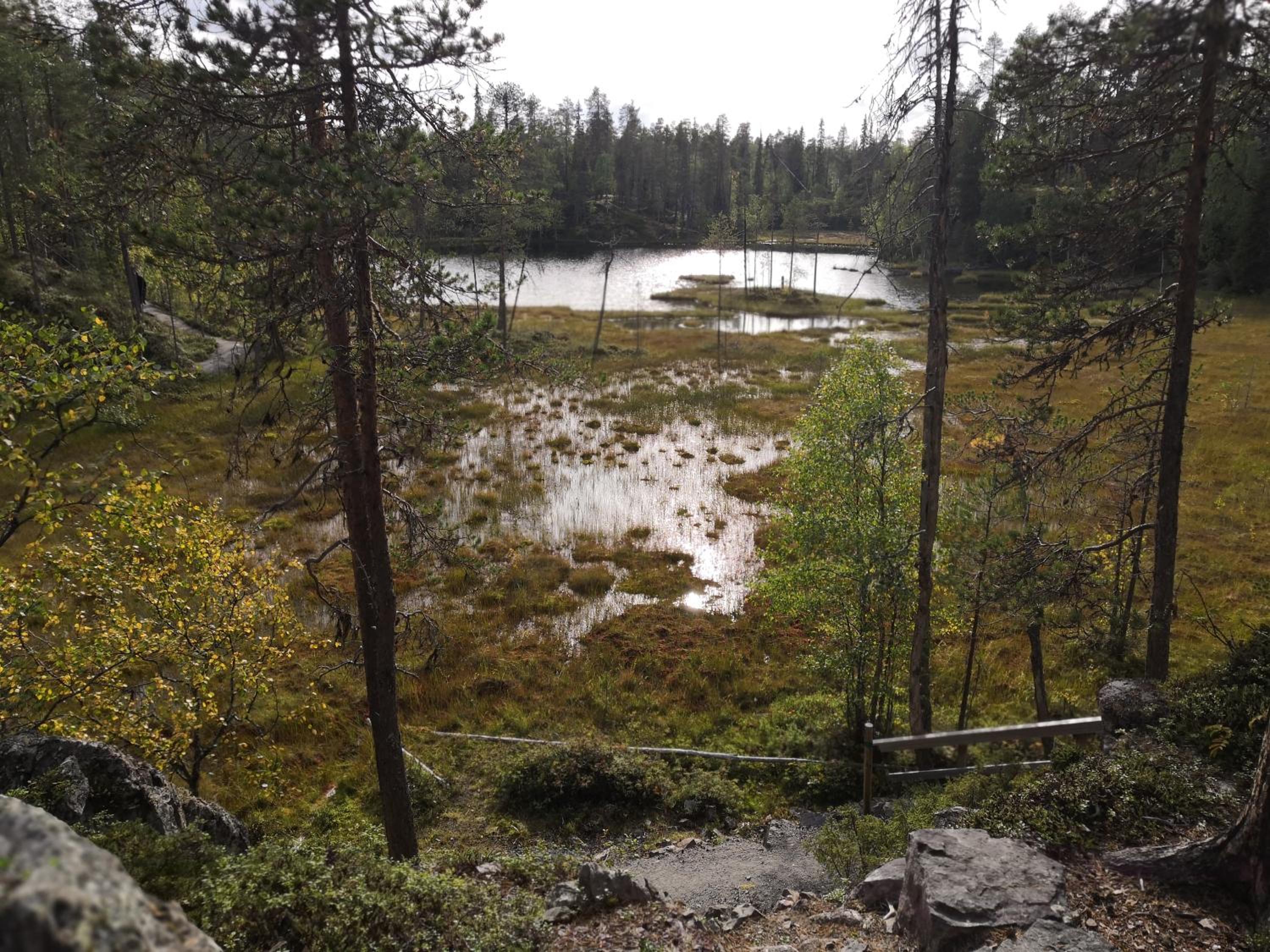 Photo 49