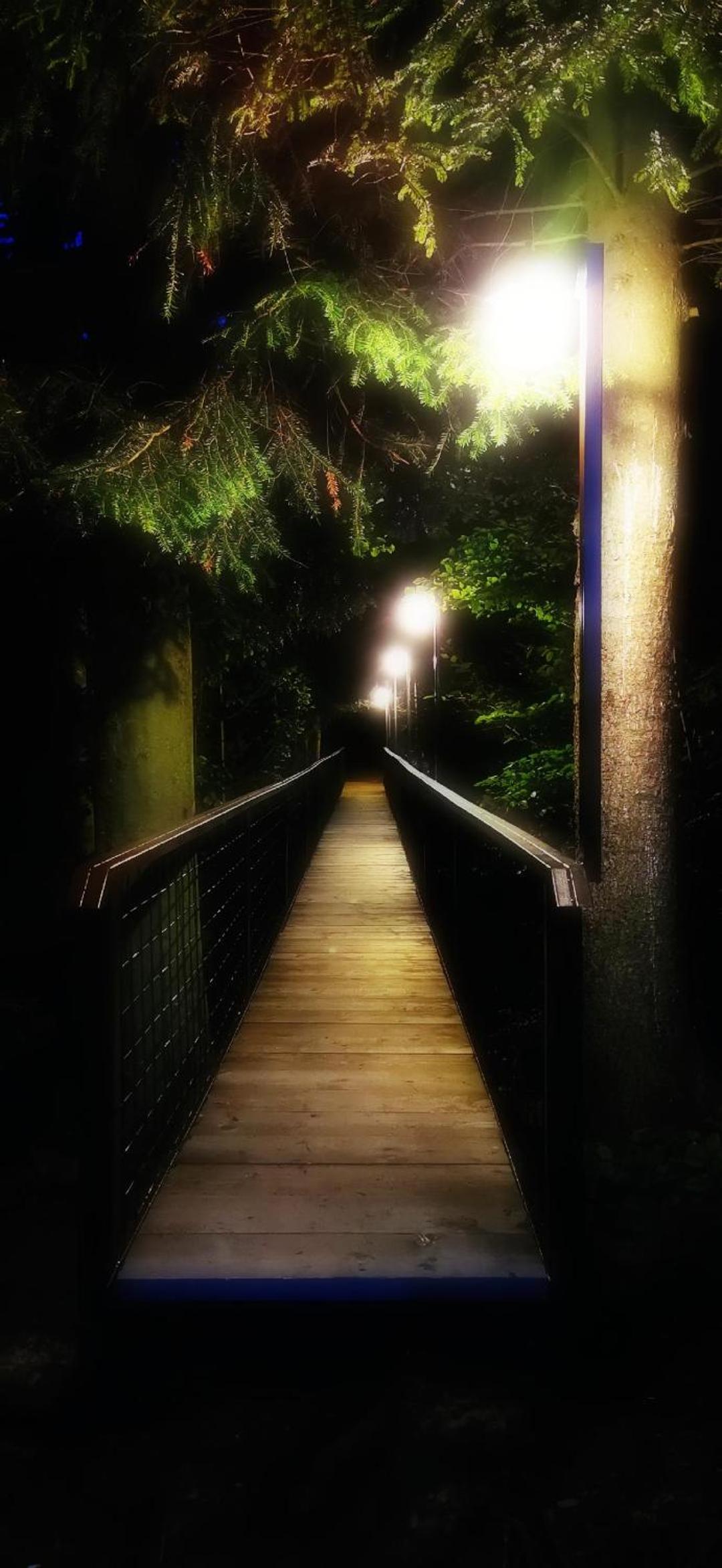Photo 49