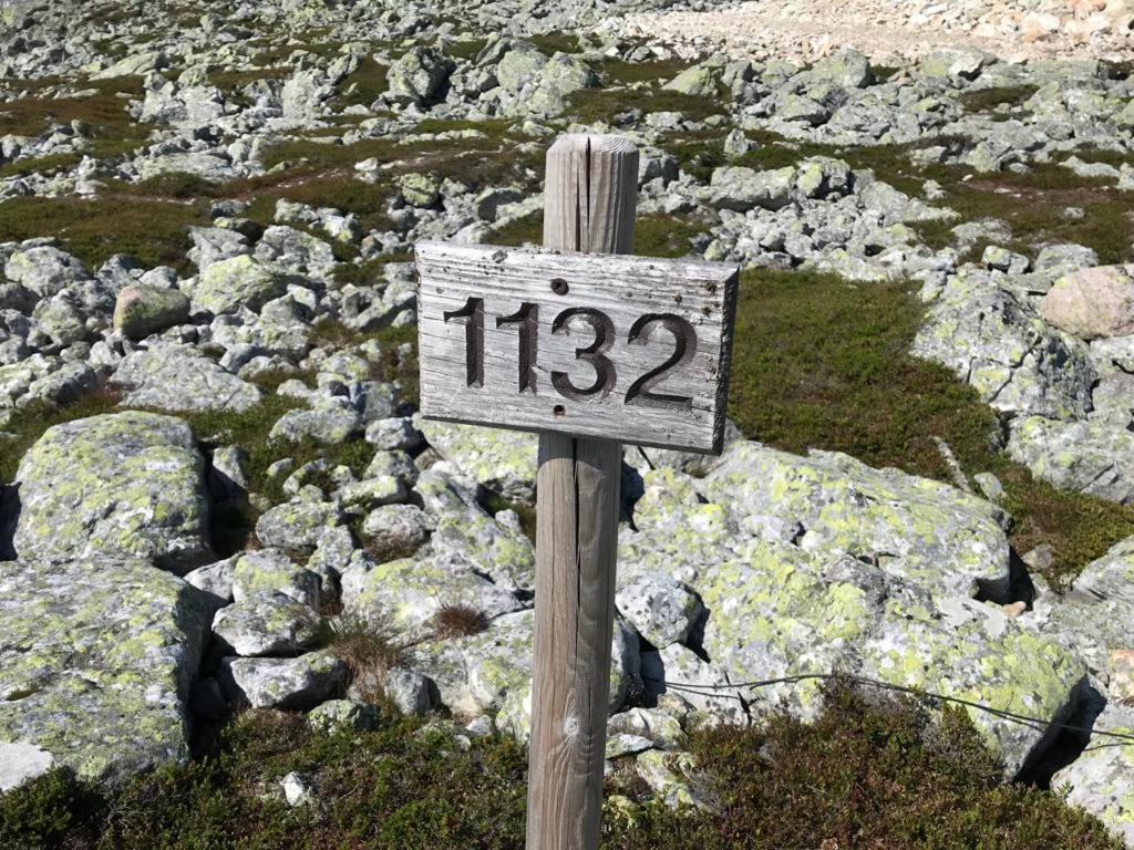 Photo 39