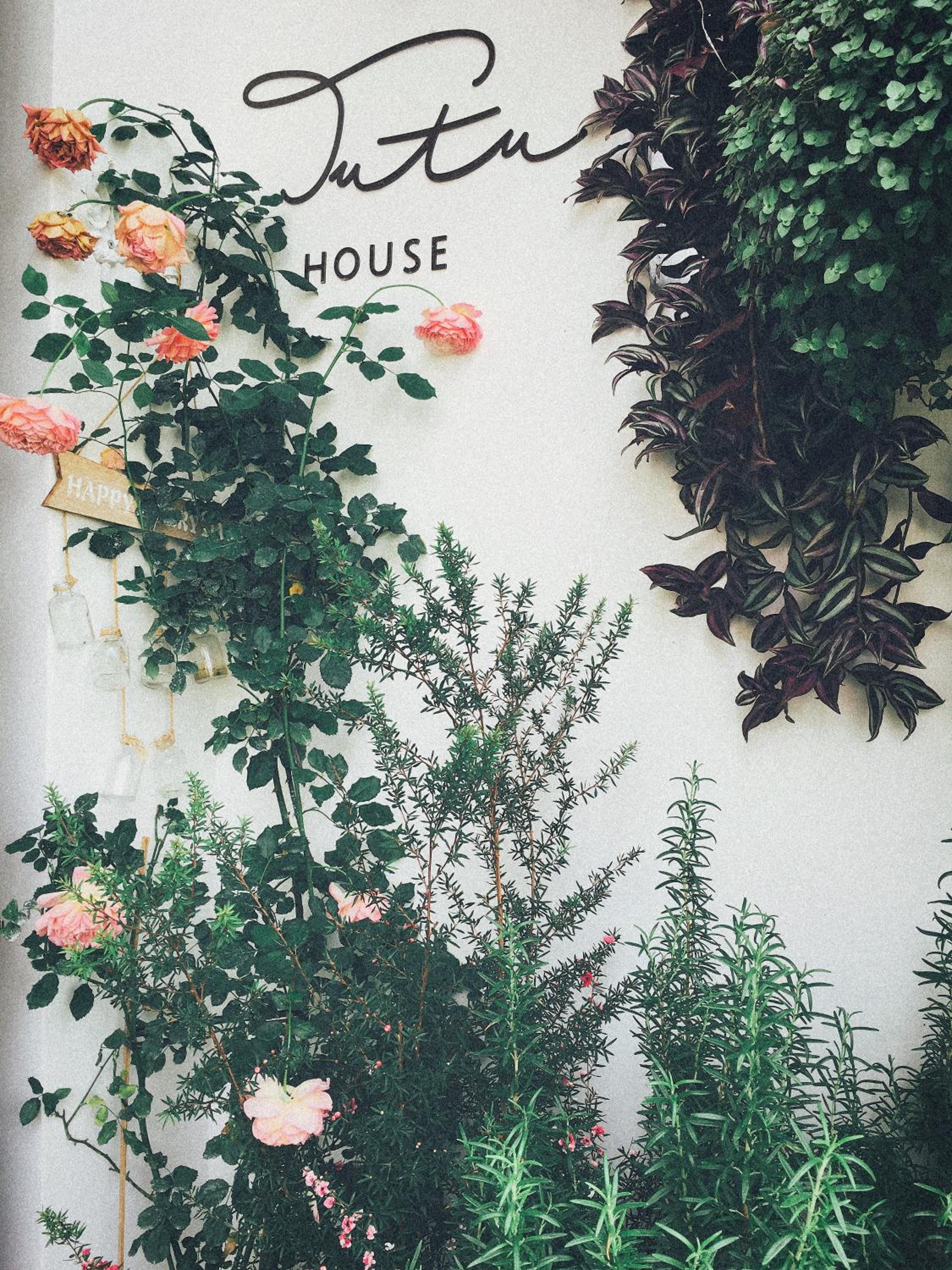 TUTU House