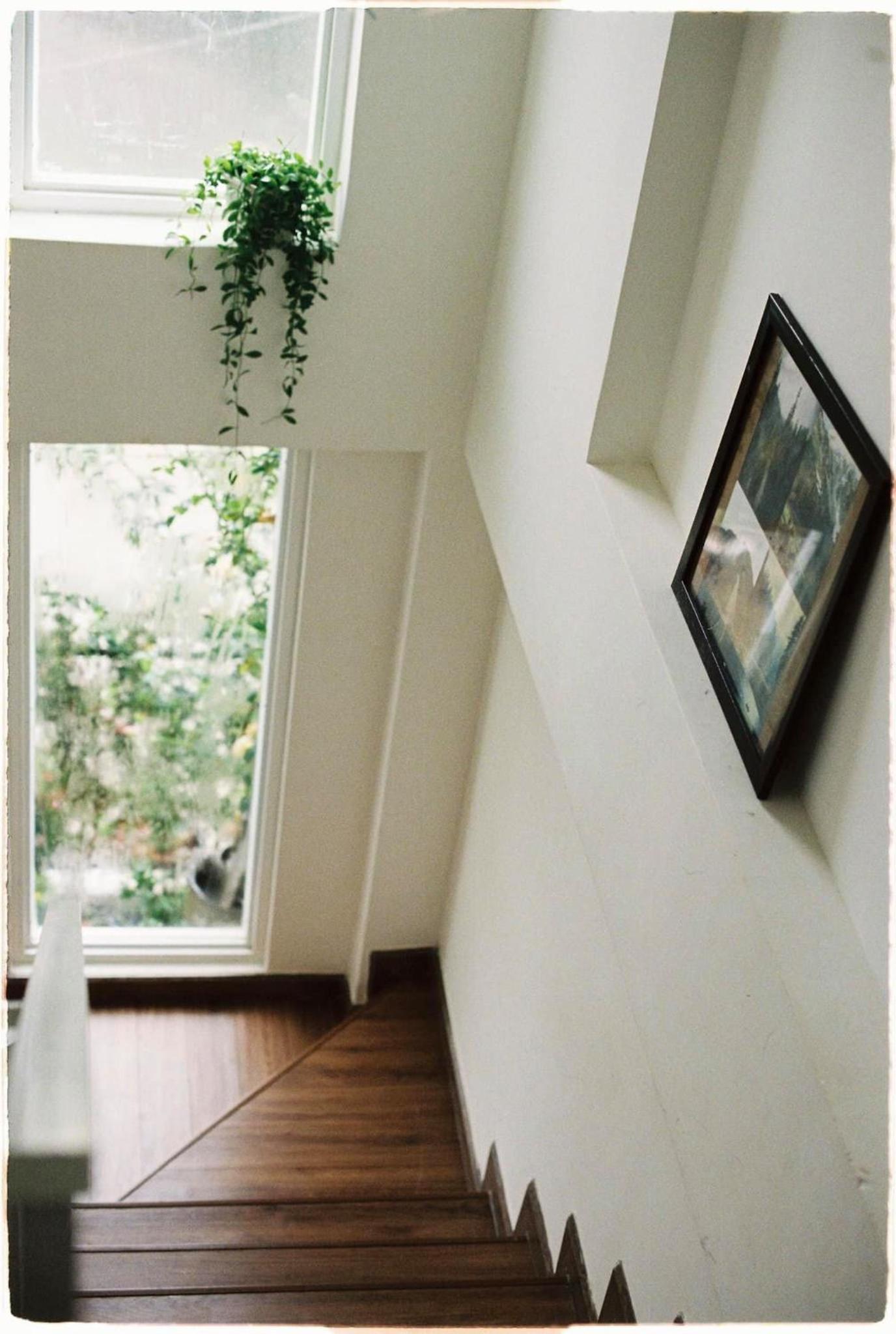 TUTU House