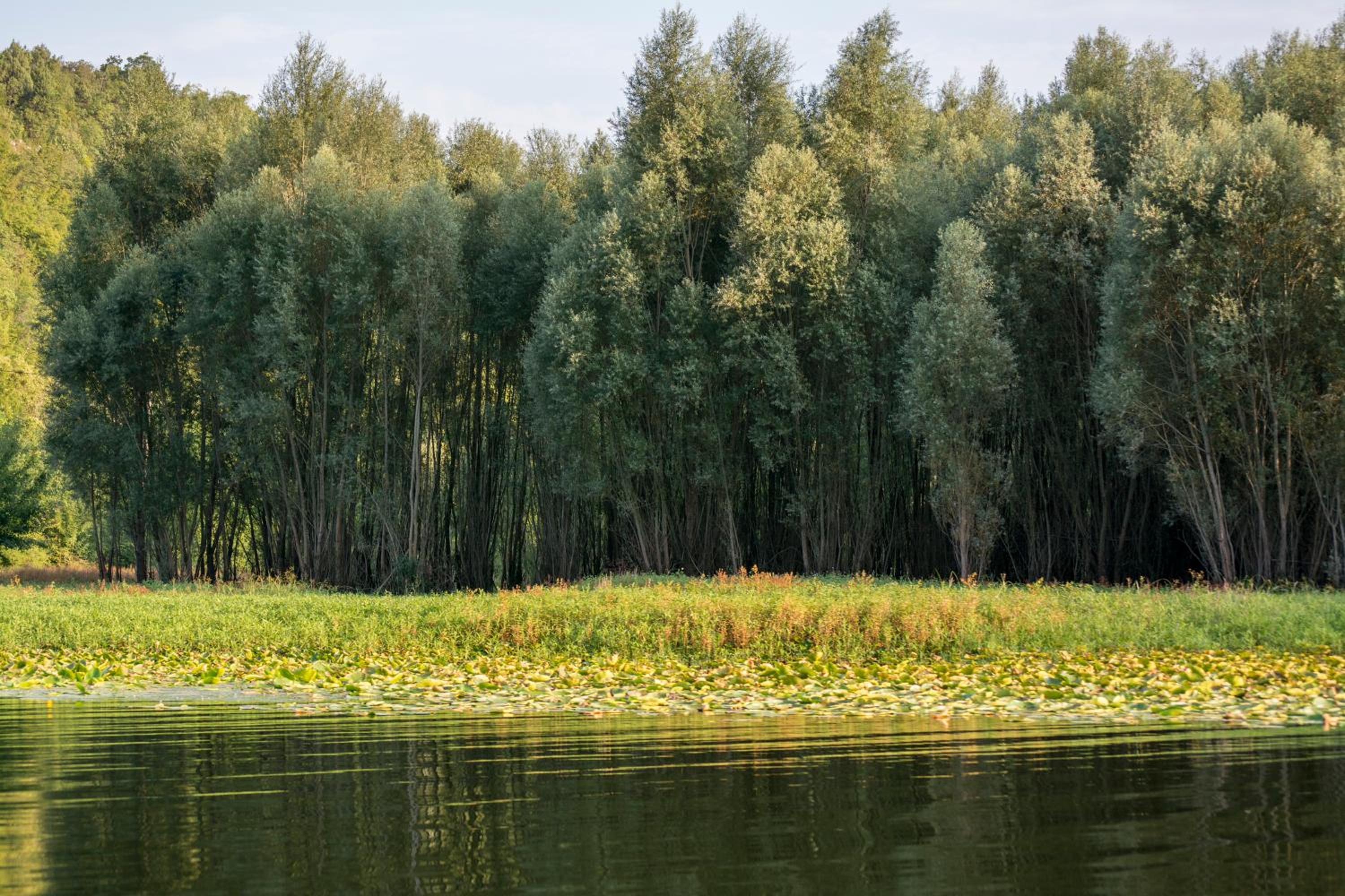 other