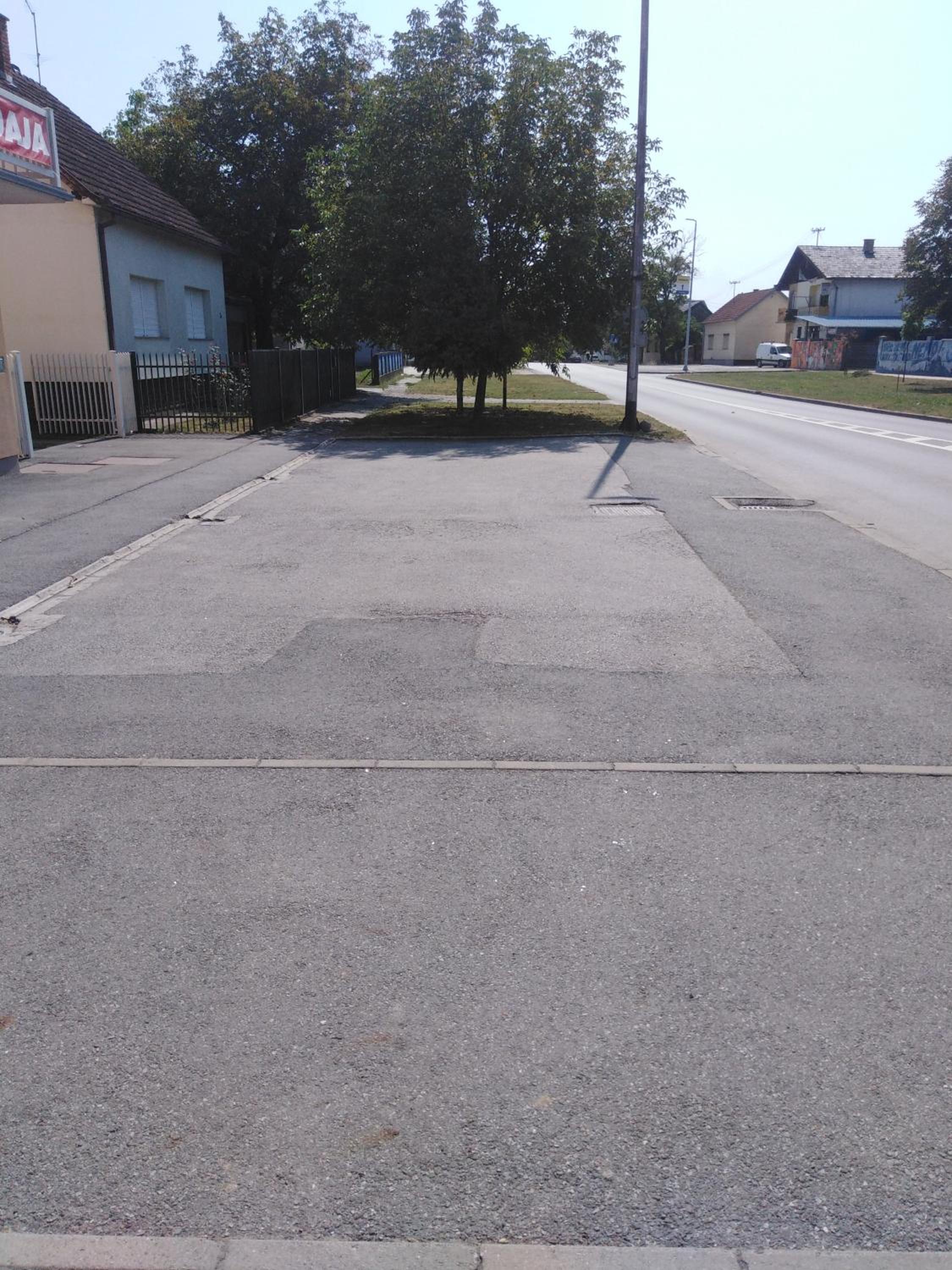 Photo 45