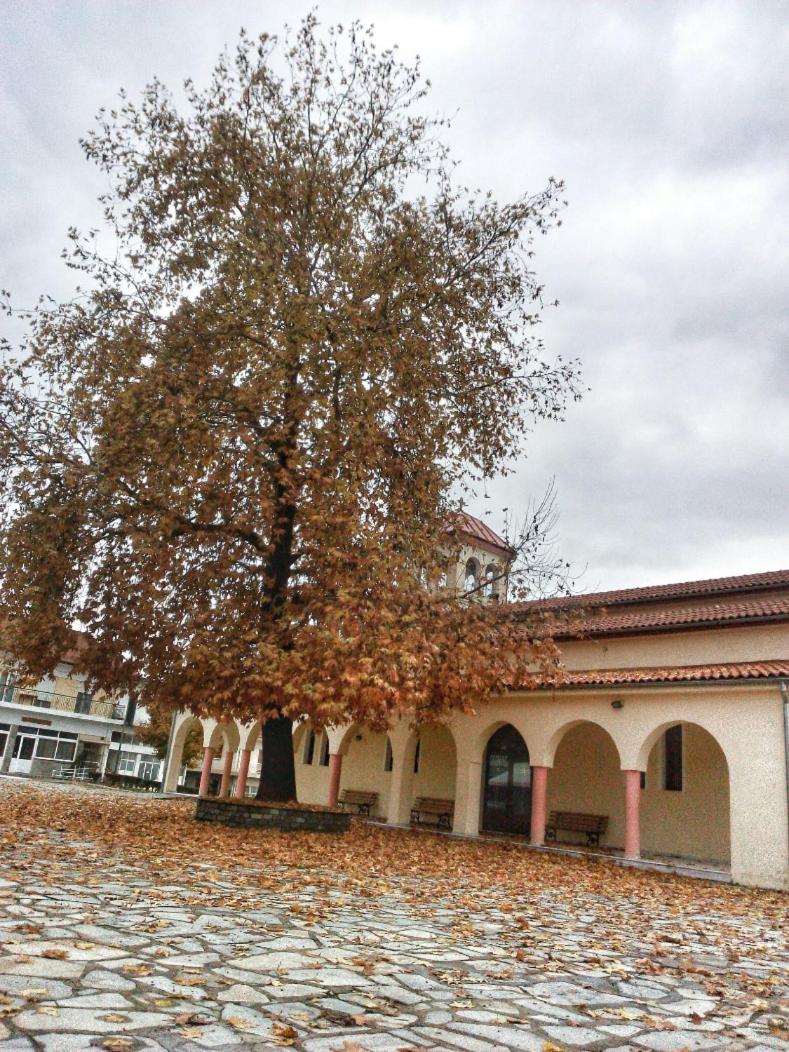 Village House Grevena view 4