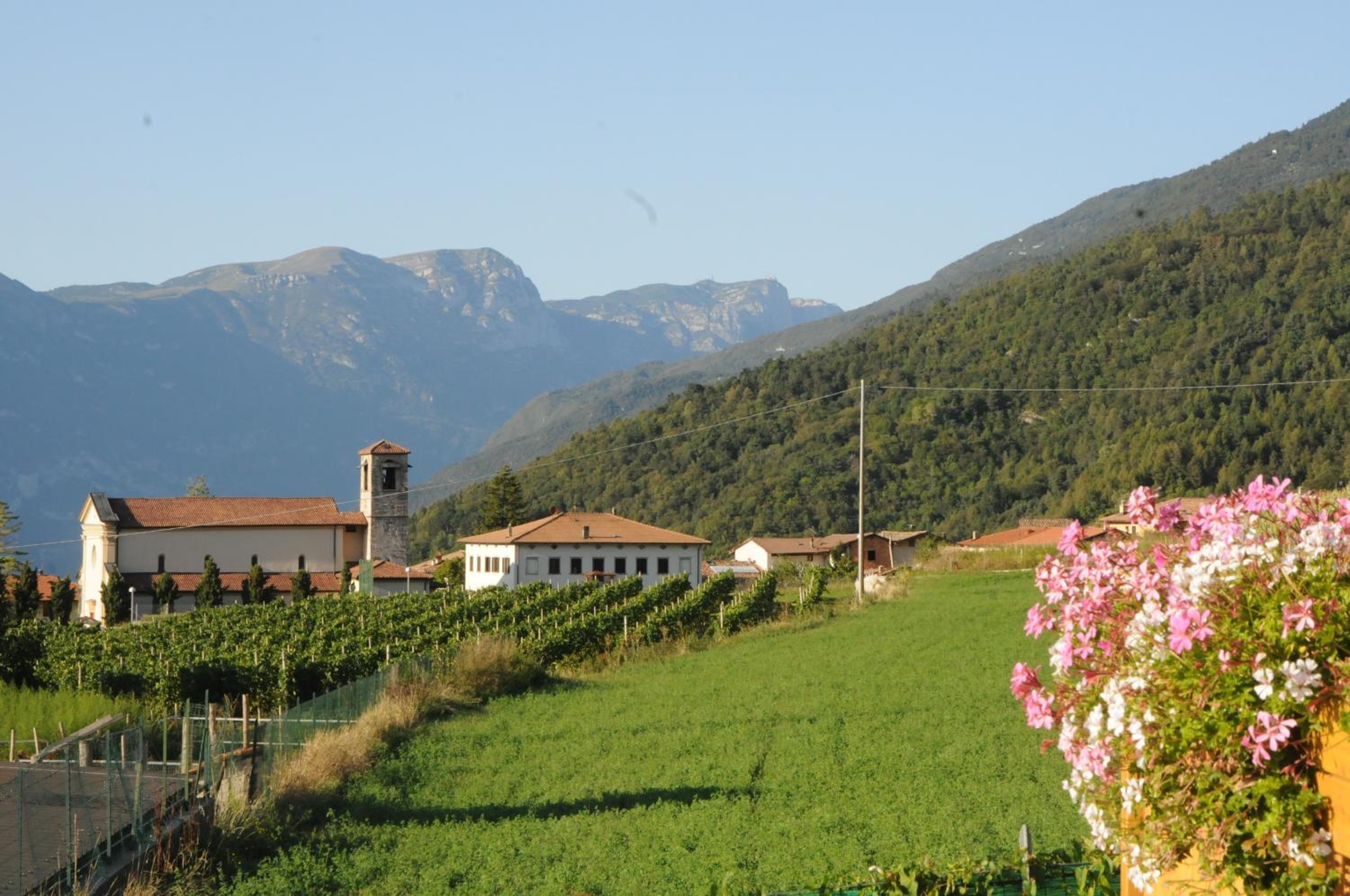 Agritur Campo Fiorito view 4
