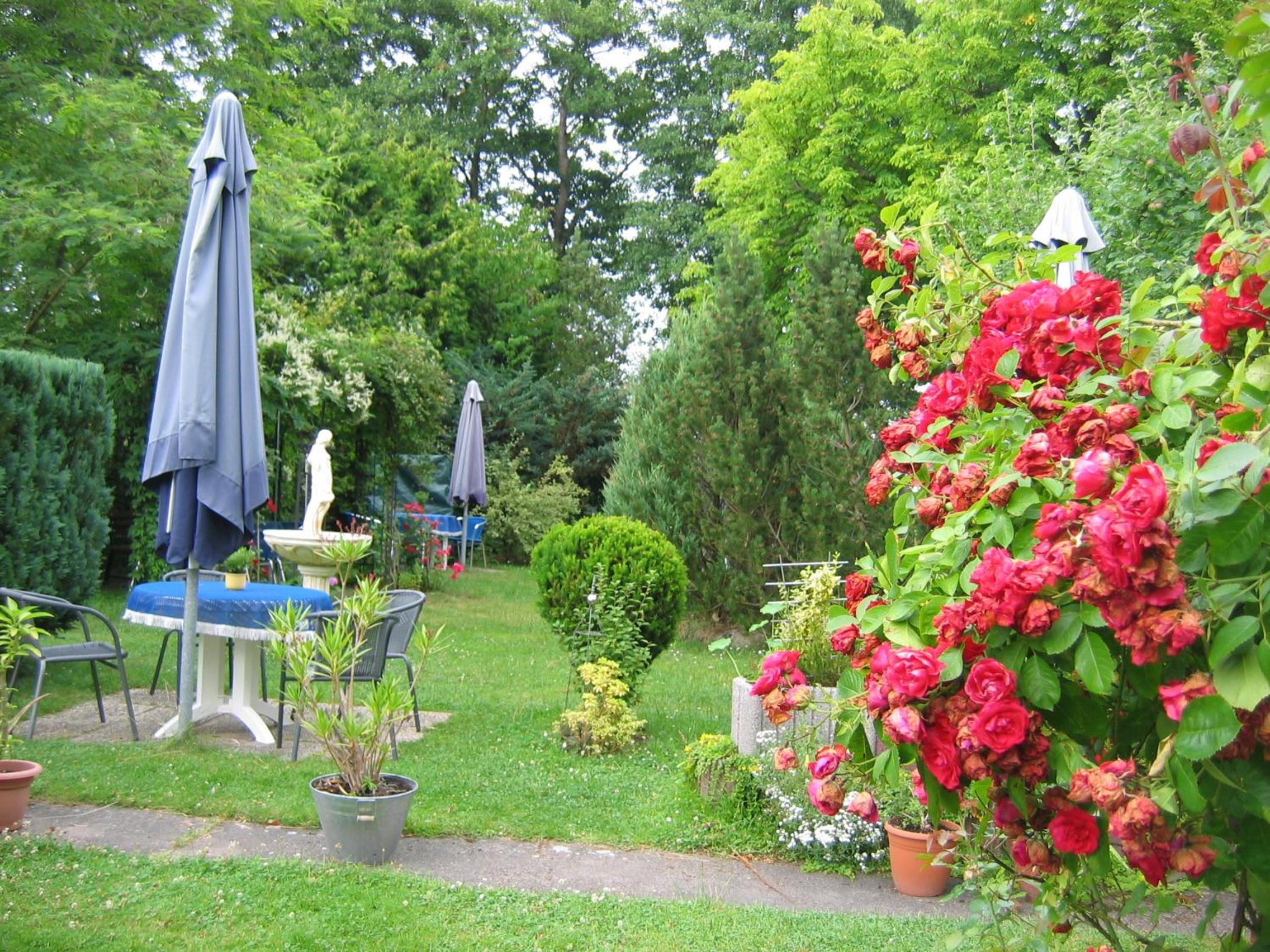 Gast- Logierhaus Am Rheinsberger See - Property Image 32
