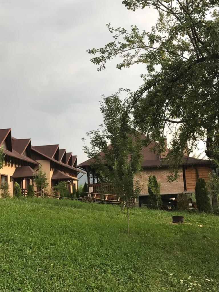 Pensiunea Valea cu Salcâmi view 3