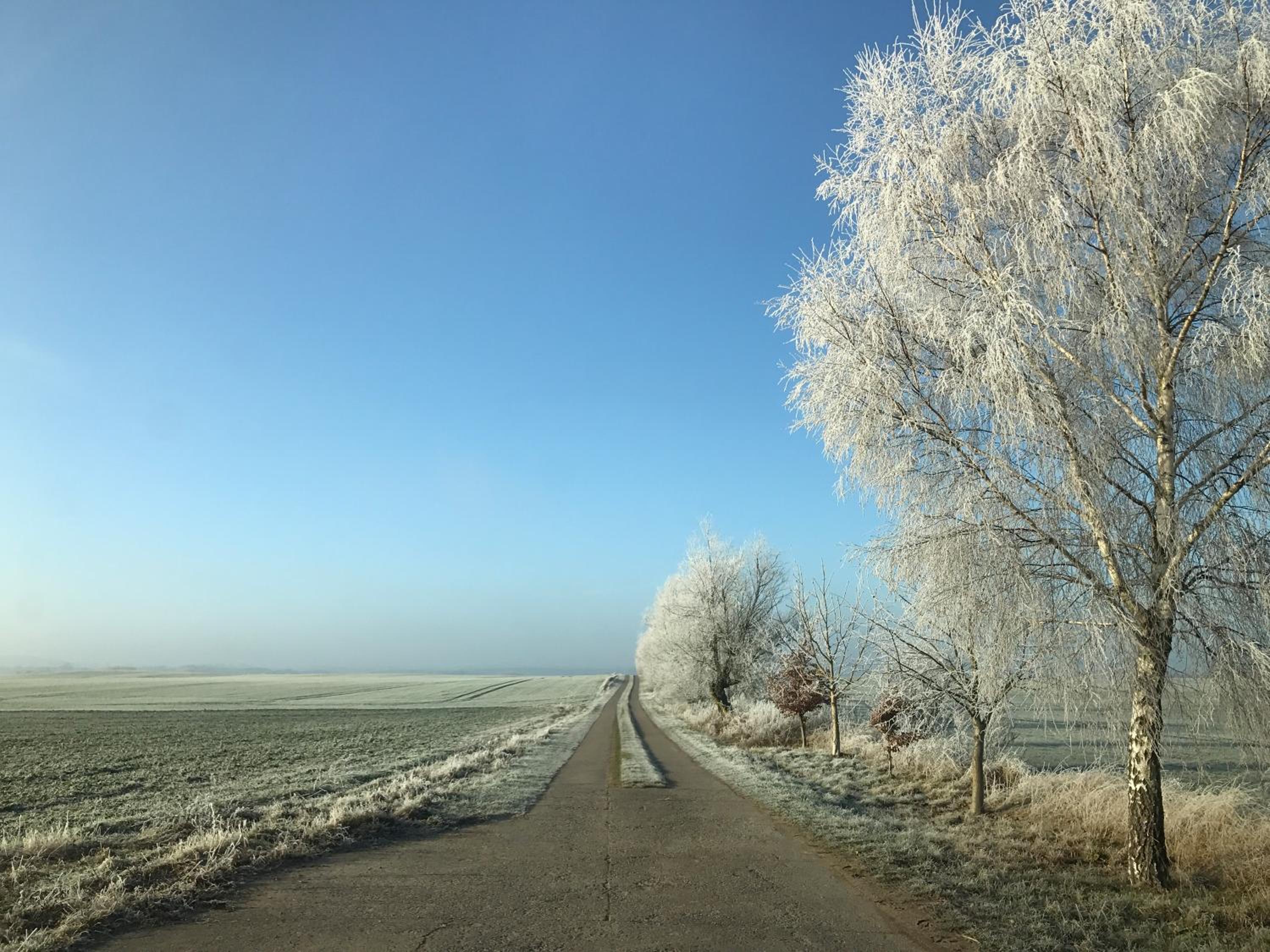 Gutshaus Lexow - zwischen Malchow, Waren-Müritz nahe Mecklenburgische Seenplatte