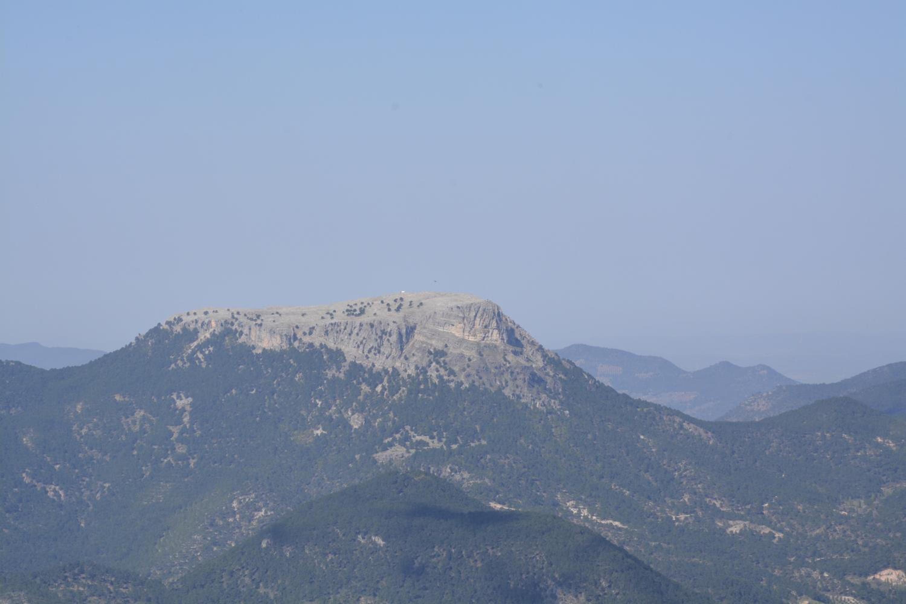 Photo 28