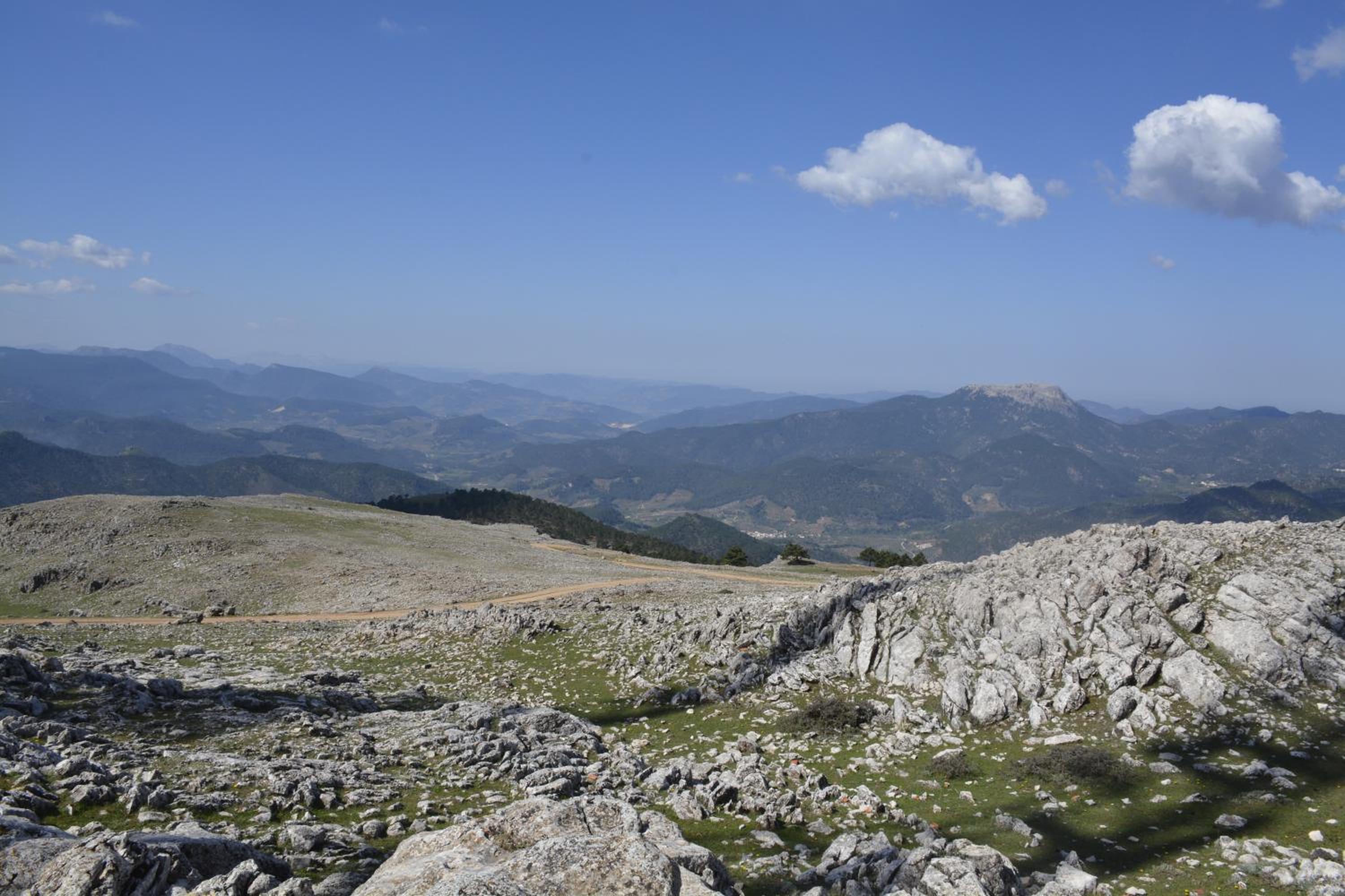 Photo 31