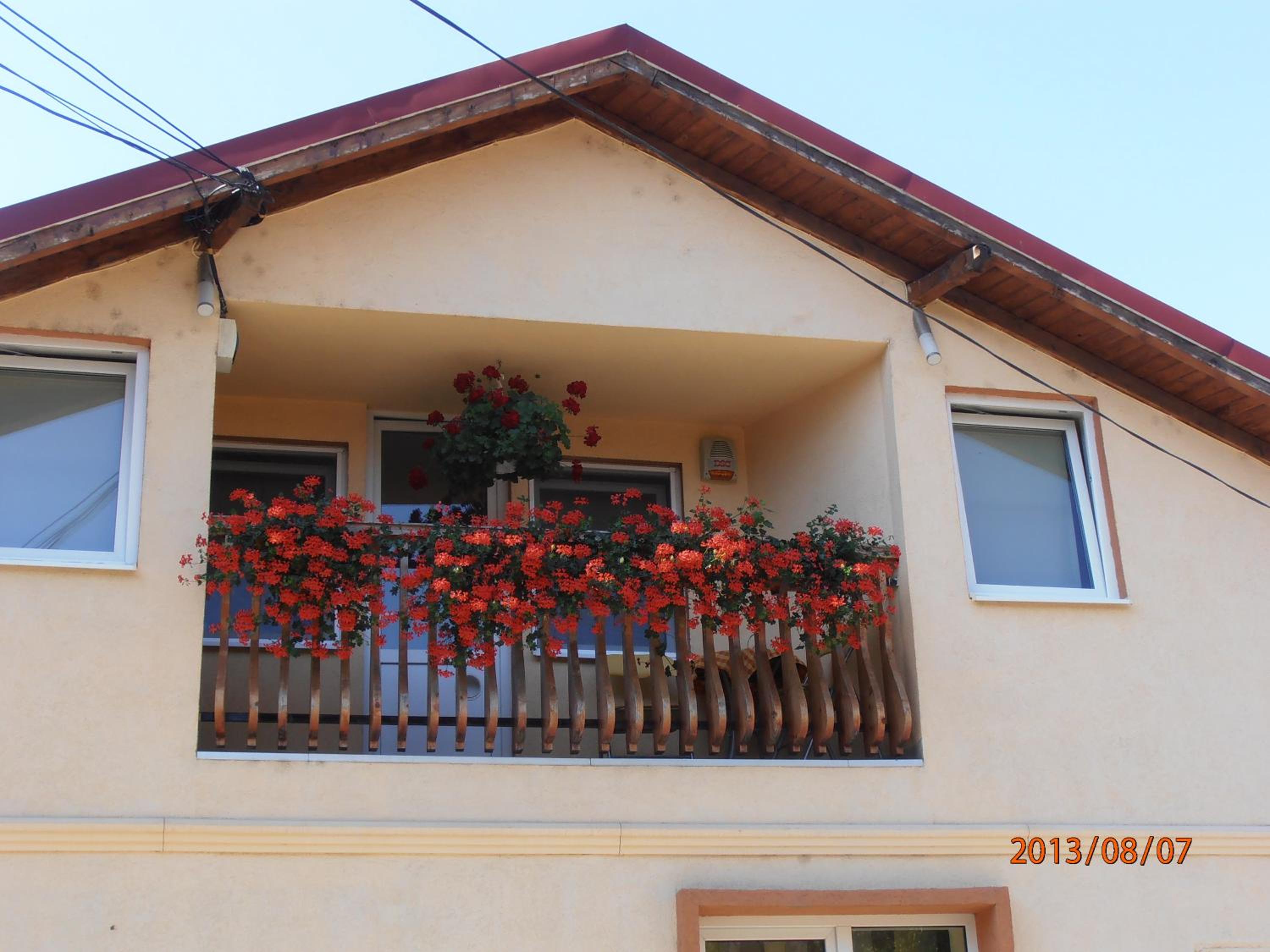 Photo 35