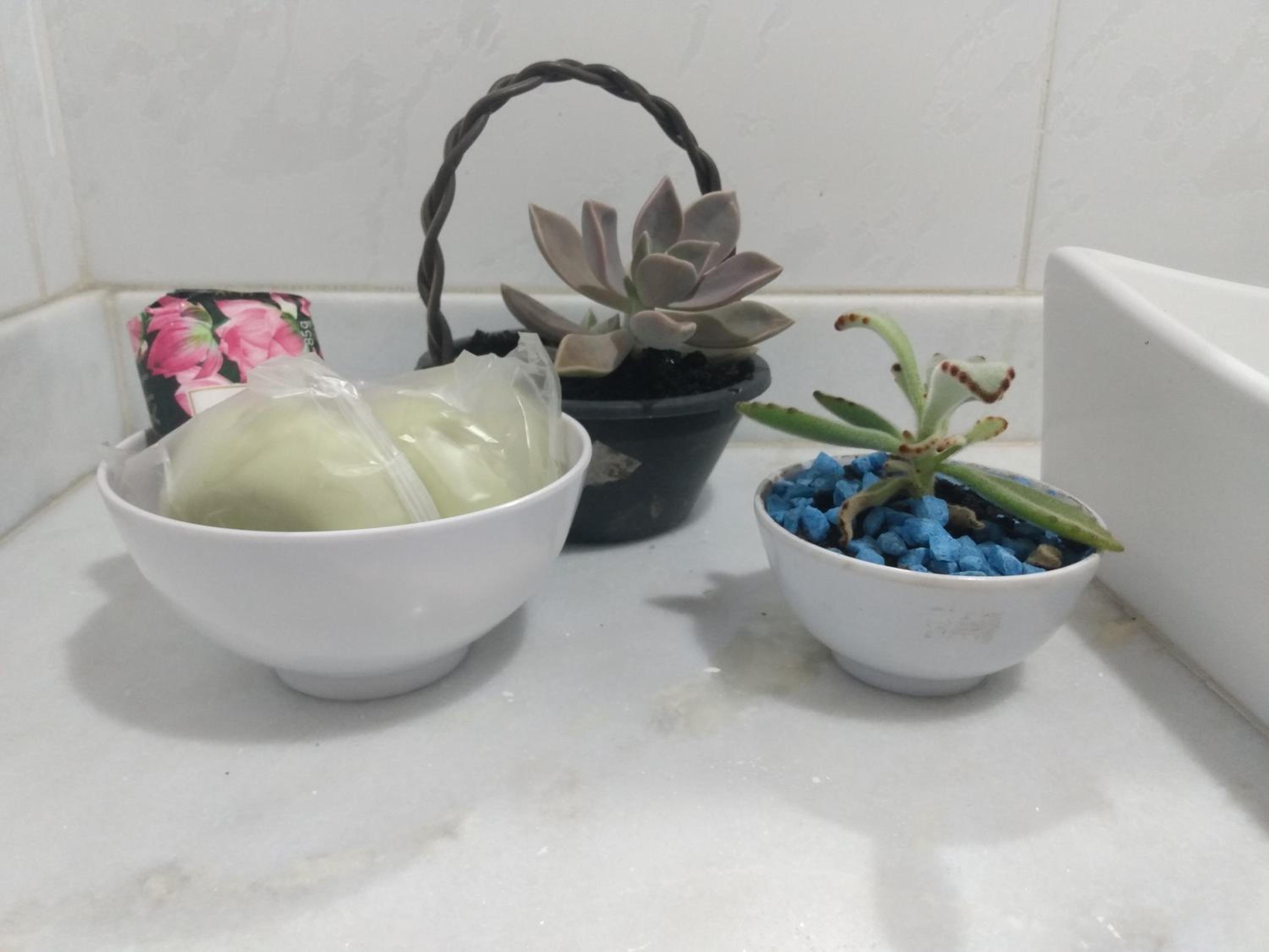 Casa Bromélia, a 15 minutos a pé do centro histórico!