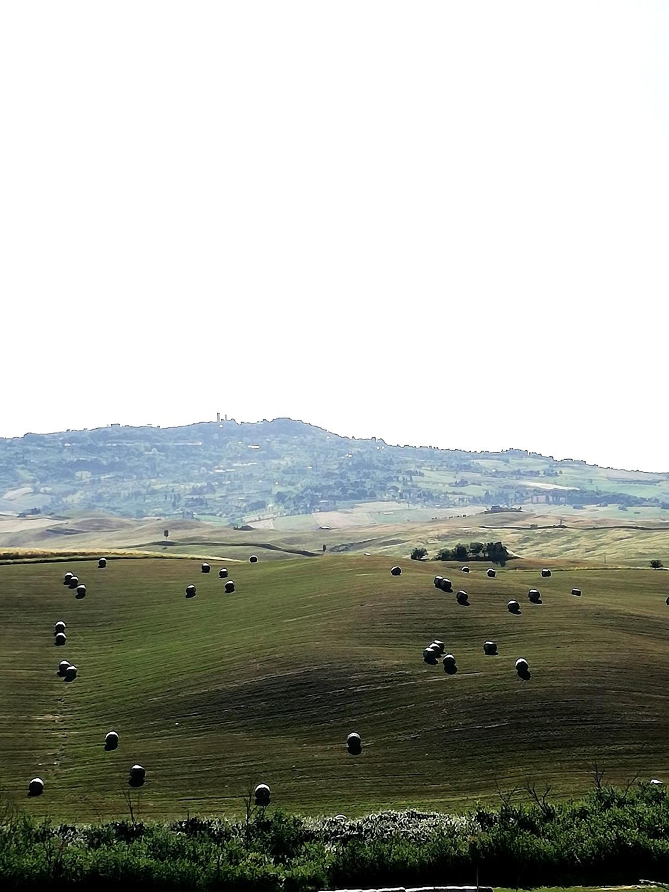 Agriturismo La Spiga