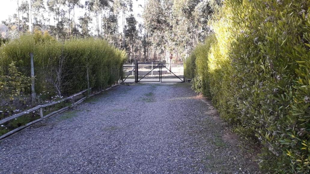 Casa Tunquen VIP